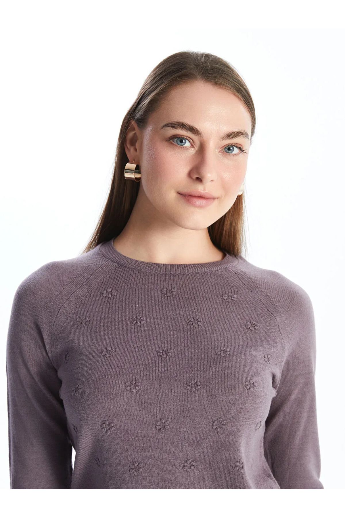 LC Waikiki-Lcwaikiki Basic Matte Damson Crew Neck Self Patterned Long Sleeve Women's Knitwear Sweater 2