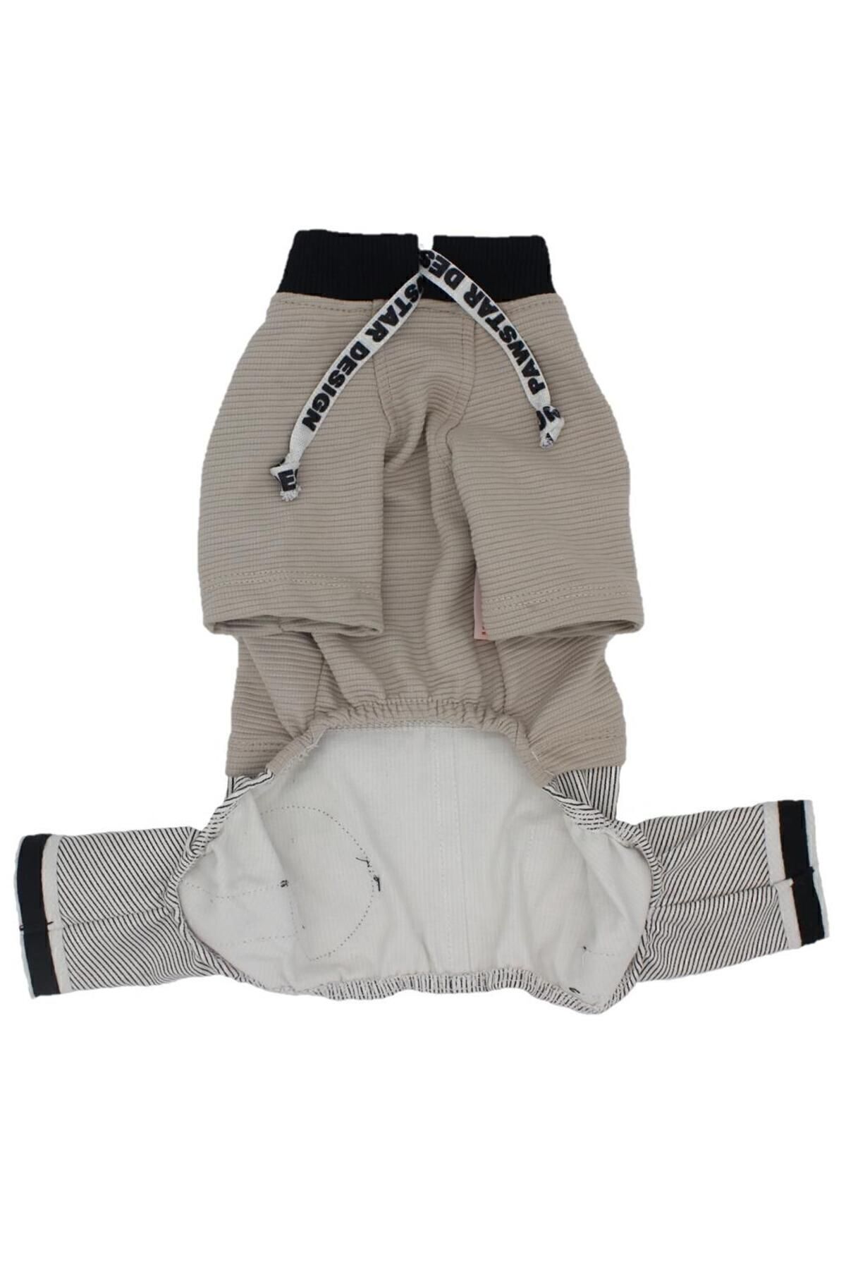 Pawstar-Stone Shine Cat Dog Jumpsuit - Outfit 3