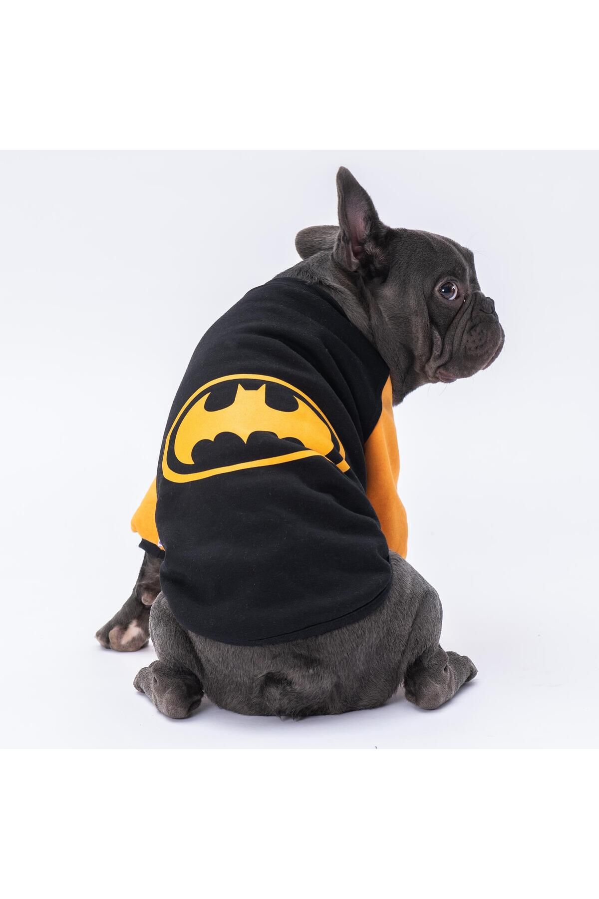 Pettrend Batman Baskılı Polar Sweat Kedi Köpek Sweati Kedi Köpek Kıyafeti Kedi Köpek Elbisesi