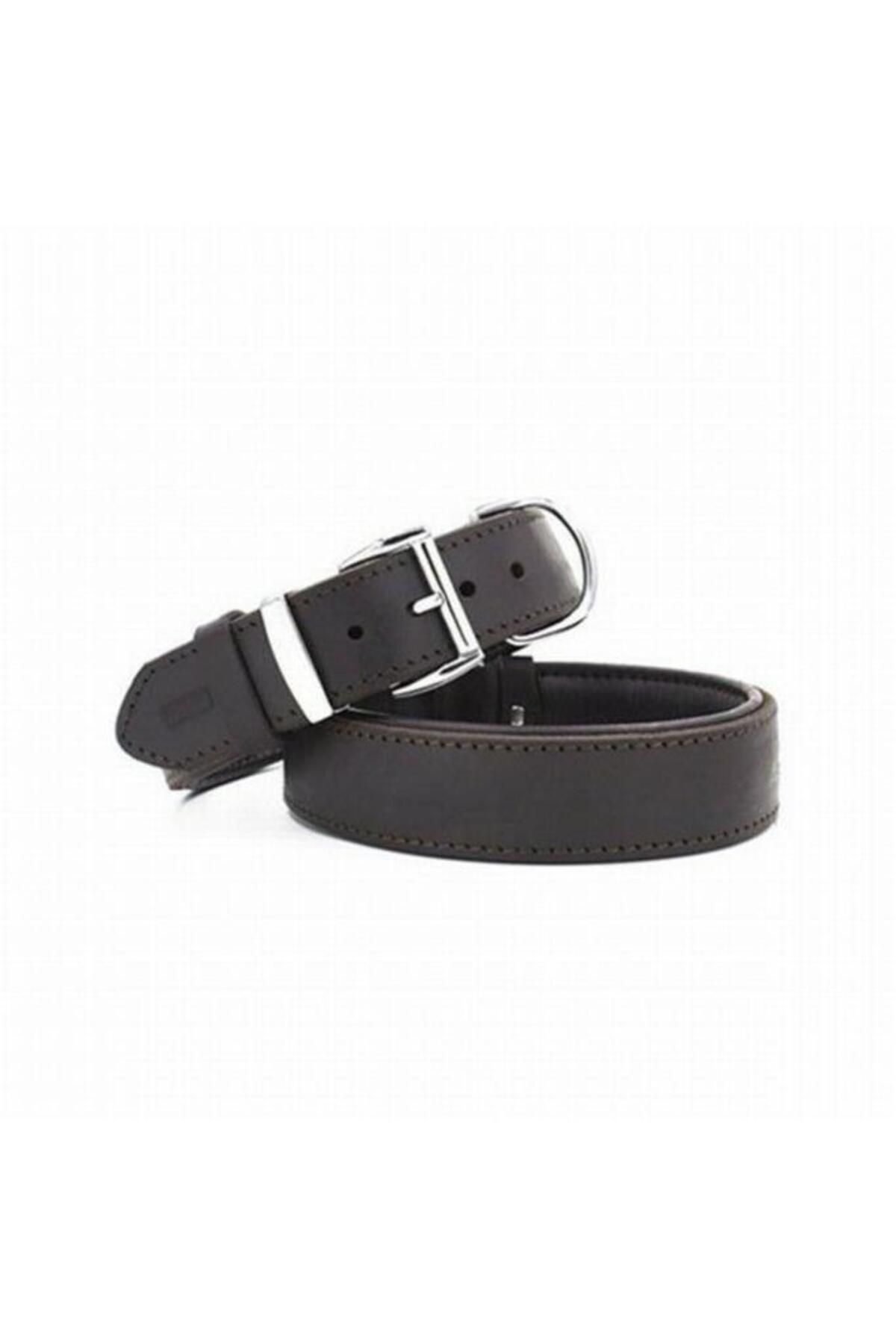 O Dog Doggie Yağlı Deri Köpek Boyun Tasması Large Kahverengi 4x47-55 Cm