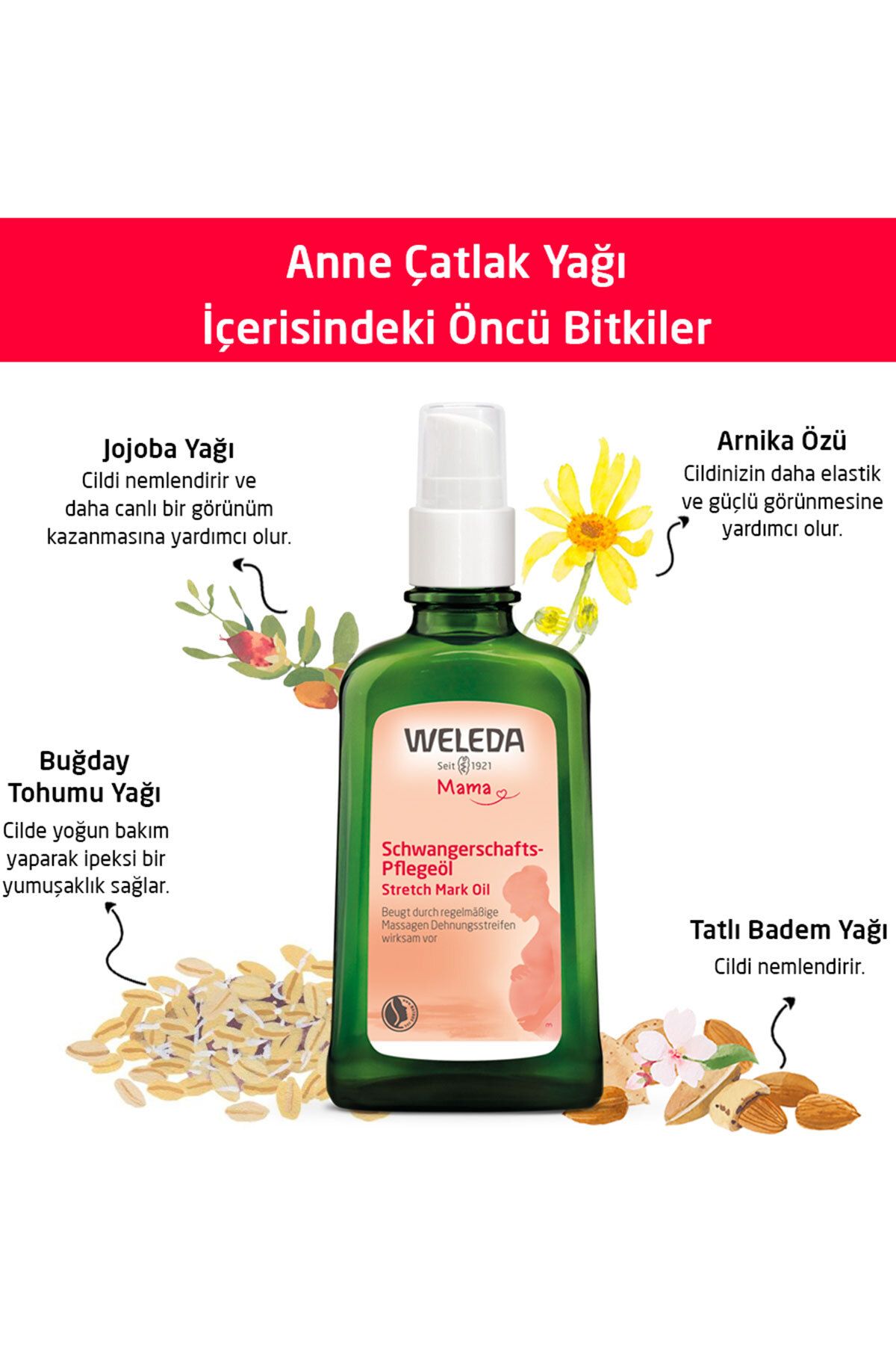 Weleda-Stretch Mark Oil 100 ml 3
