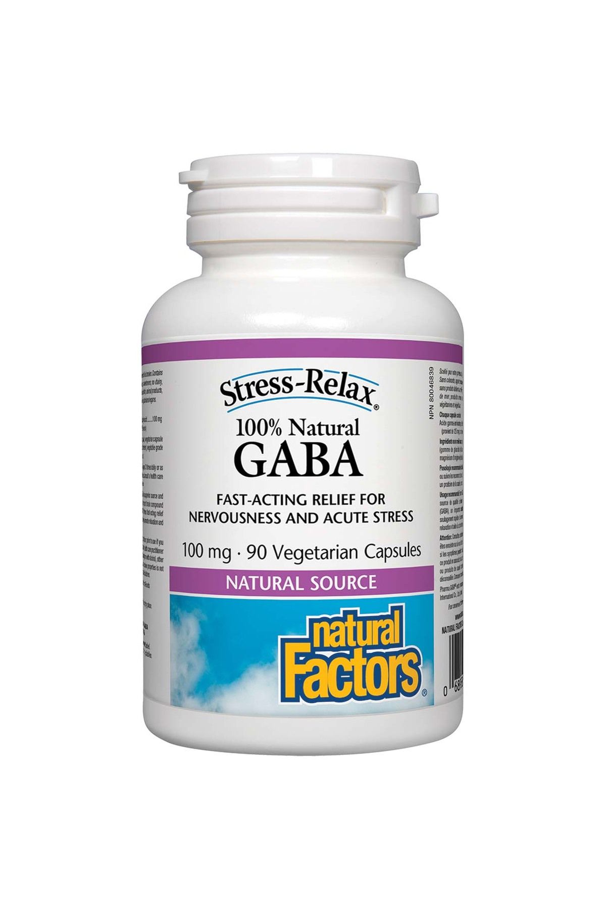 Natural Factors-GABA, 100 mg, 90 Veggie Capsules 1