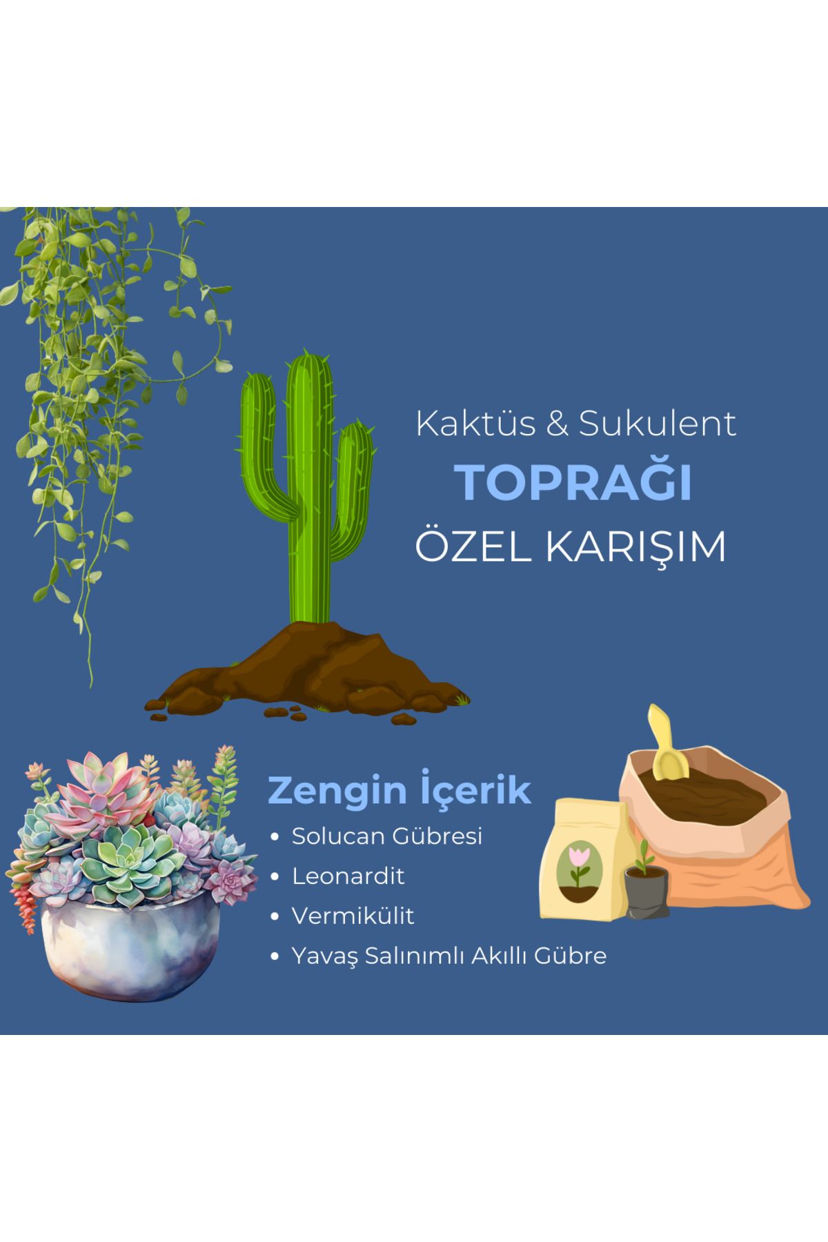 embitki Kaktüs Sukulent Toprağı 5l-özel Karışım-zengin Içerikli