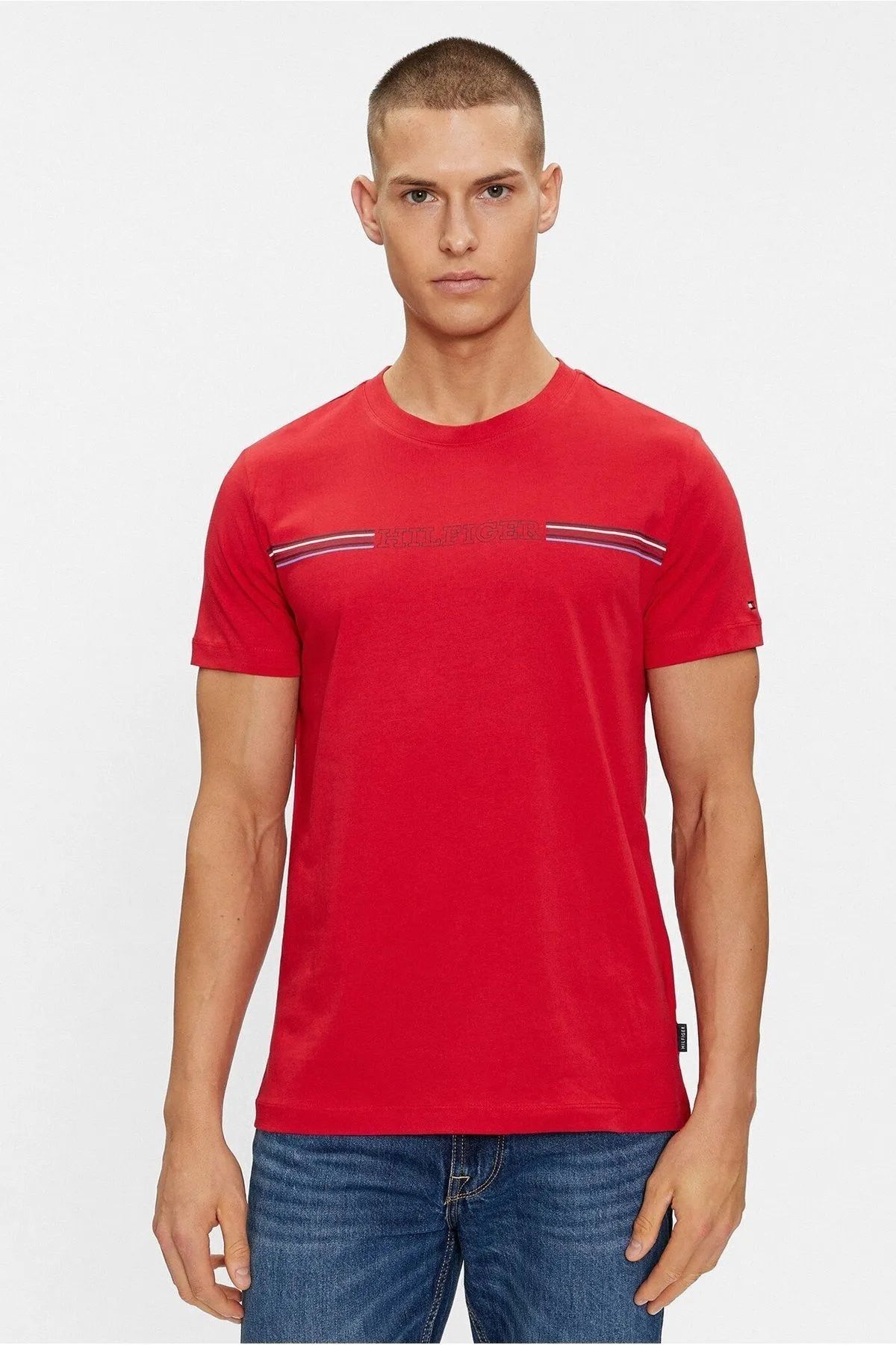 Hilfiger Denim __TommyHilfiger Erkek Regular t-Shirt