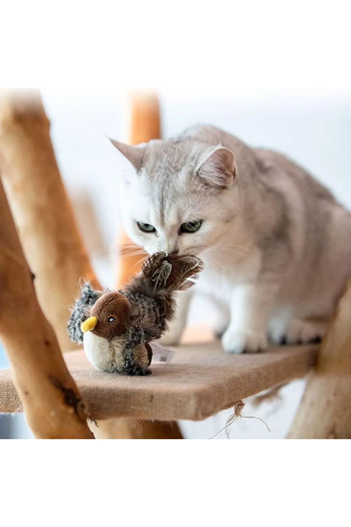 Choice-Interactive Cat Toys Flying Bird Cat Toy Flapping Wings Sparrow Catnip Toys Vivid Chirpi]ng Simul... 3