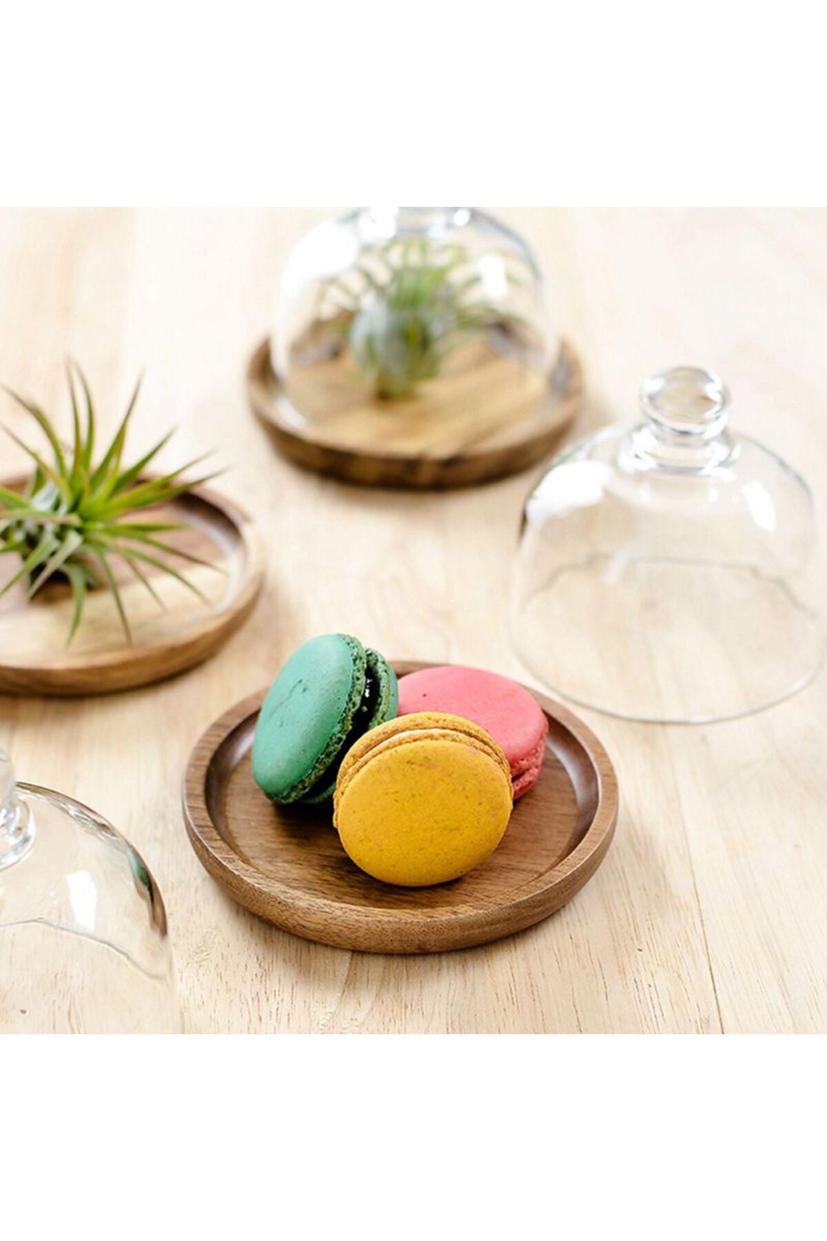 Choice 1PCS Small Dessert Plate Wooden Cake Stands Glass Cover Bread