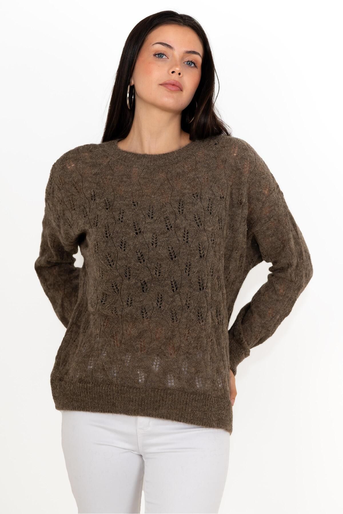 CHUBA-Women's Wide Fit Wool And Moher Blended Soft Textured Openwork Sweater Brown 24w142 2