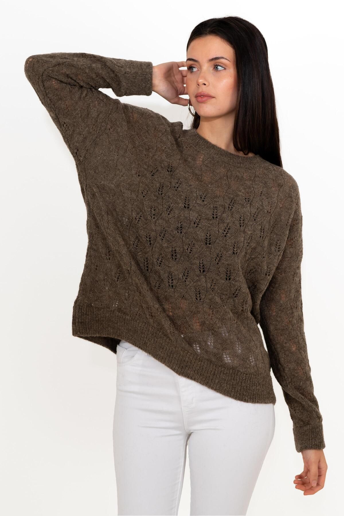 CHUBA-Women's Wide Fit Wool And Moher Blended Soft Textured Openwork Sweater Brown 24w142 3