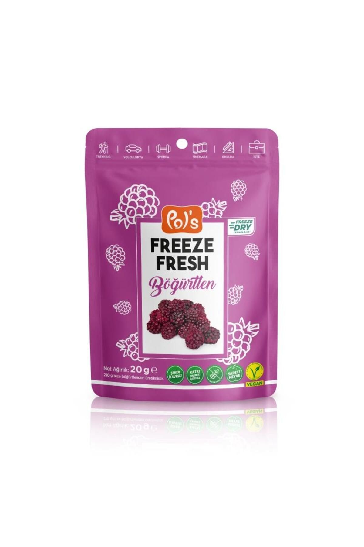 NW NessiWorld Nessiworld Pol’s Freeze Fresh Dondurularak Kurutulmuş Böğürtlen 20 g