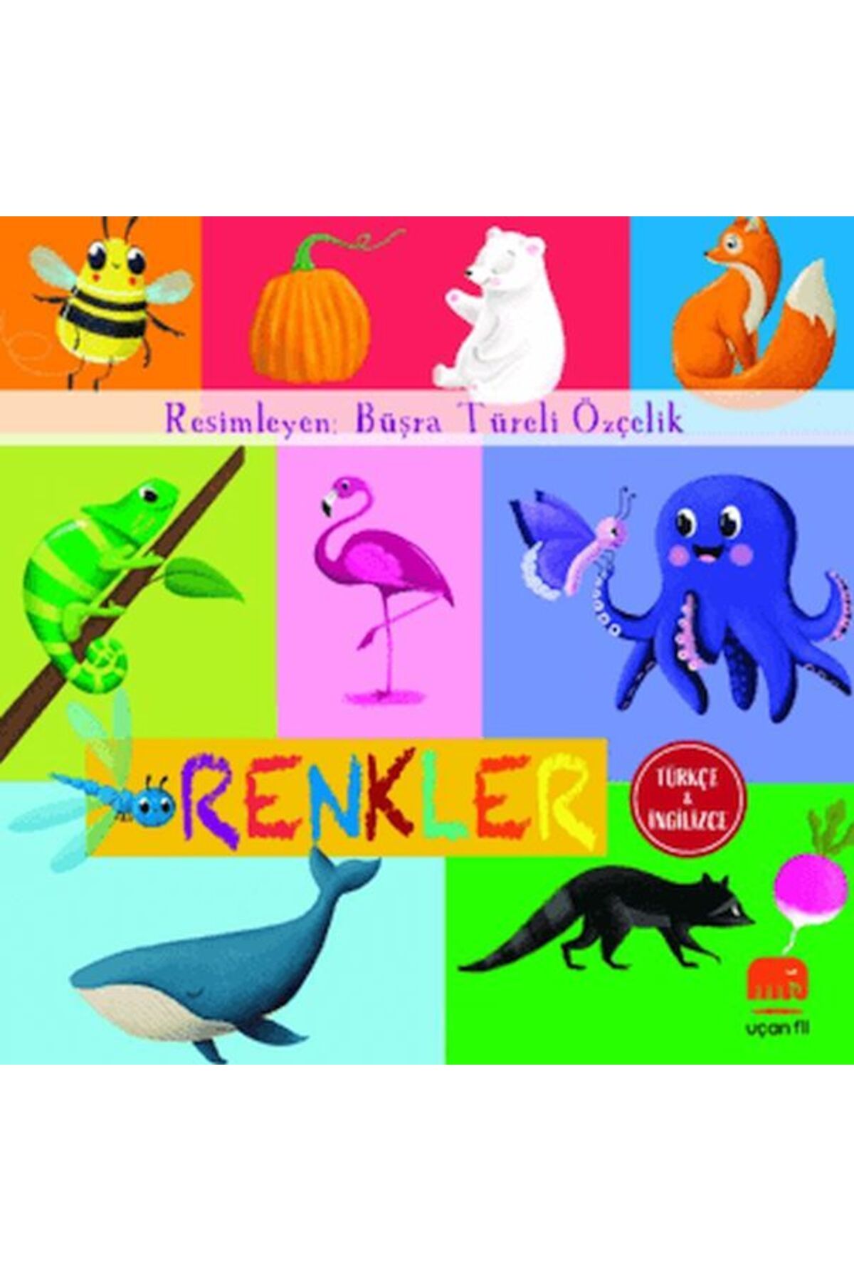 Uçan Fil Yayınları Renkler