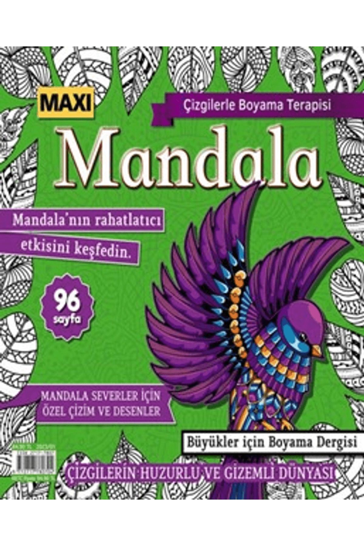 Maxi Yayıncılık Maxi Mandala Çizgilerle Boyama Terapisi 9 / Bertan Kodamanoğlu / Maxi Yayıncılık / 9772717780216