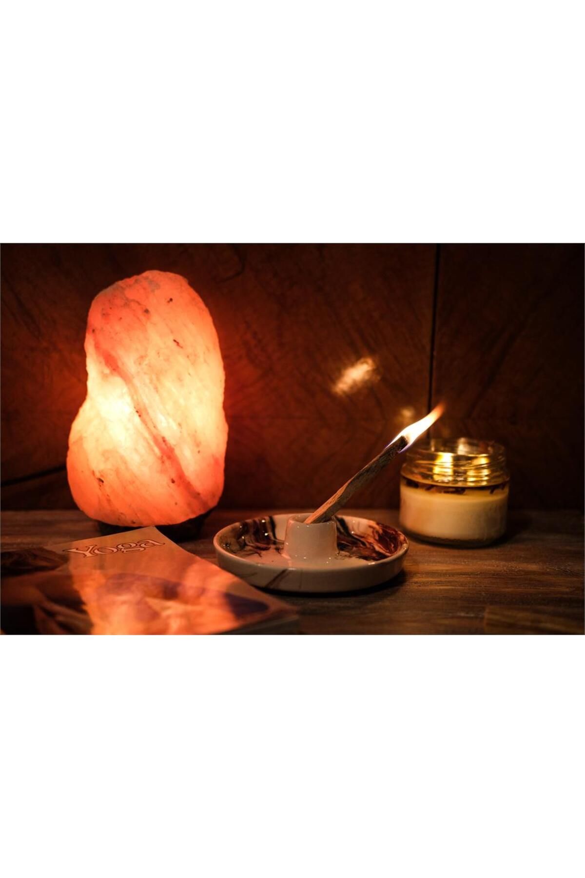عود و اسانسسوز چند رنگ Palo Santo 18 22 GR بهبود درخت پرو PETARYA