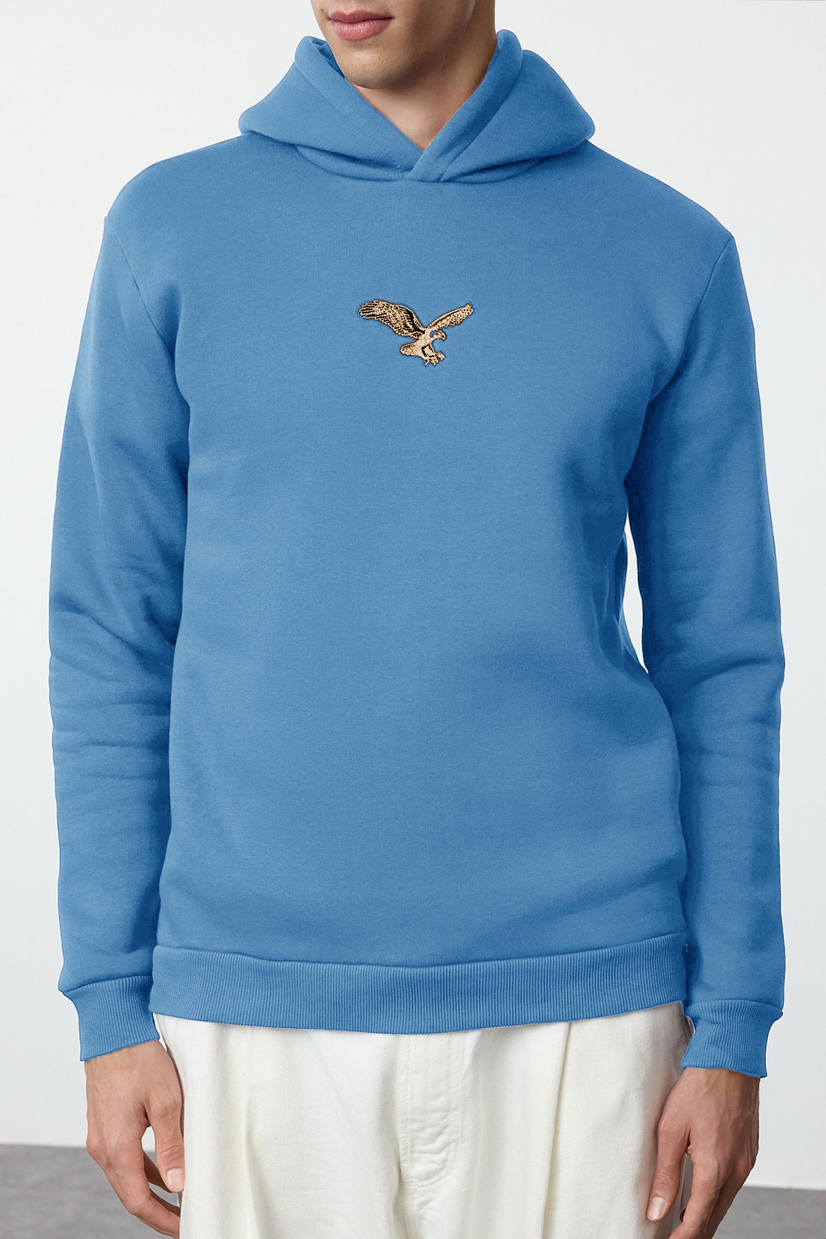 Trendyolmilla Man Mavi Regular/Normal Kesim Hayvan Nakışlı İçi Polarlı Kapüşonlu Sweatshirt TMNAW25SW00094
