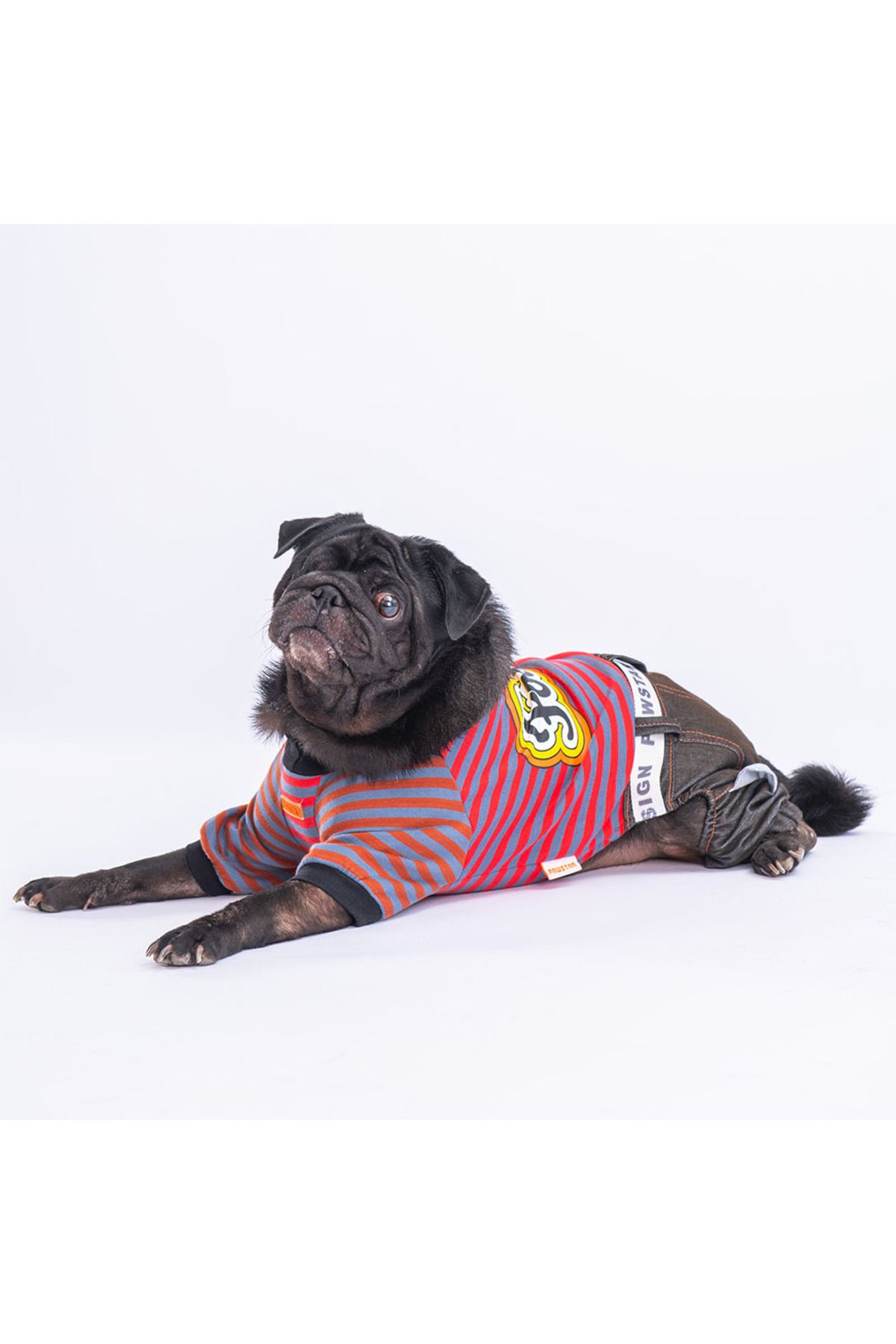 Pawstar-Indigo Foodie Dog Jumpsuit Dog Outfit Cat Outfit 2