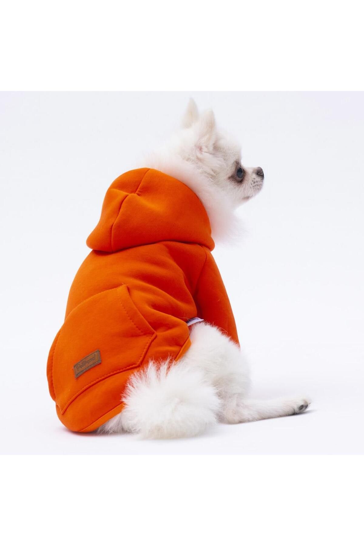 Pettrend Turuncu Kanguru Cepli Kedi-köpek Hoodie- Sweatshirt Kedi Köpek Kıyafeti