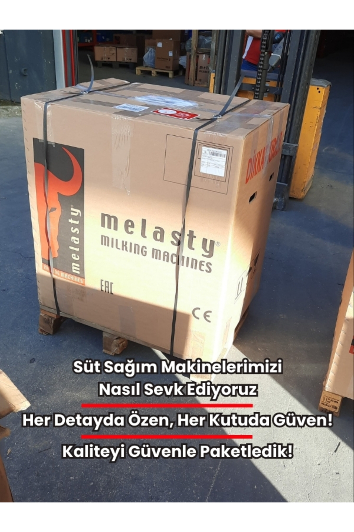 Melasty Tekli Inek Süt Sağma Makinesi (PASLANMAZ GÜĞÜM-SİLİKON MEMELİK) (KURU POMPA) fotoğrafı 2 (önizleme)