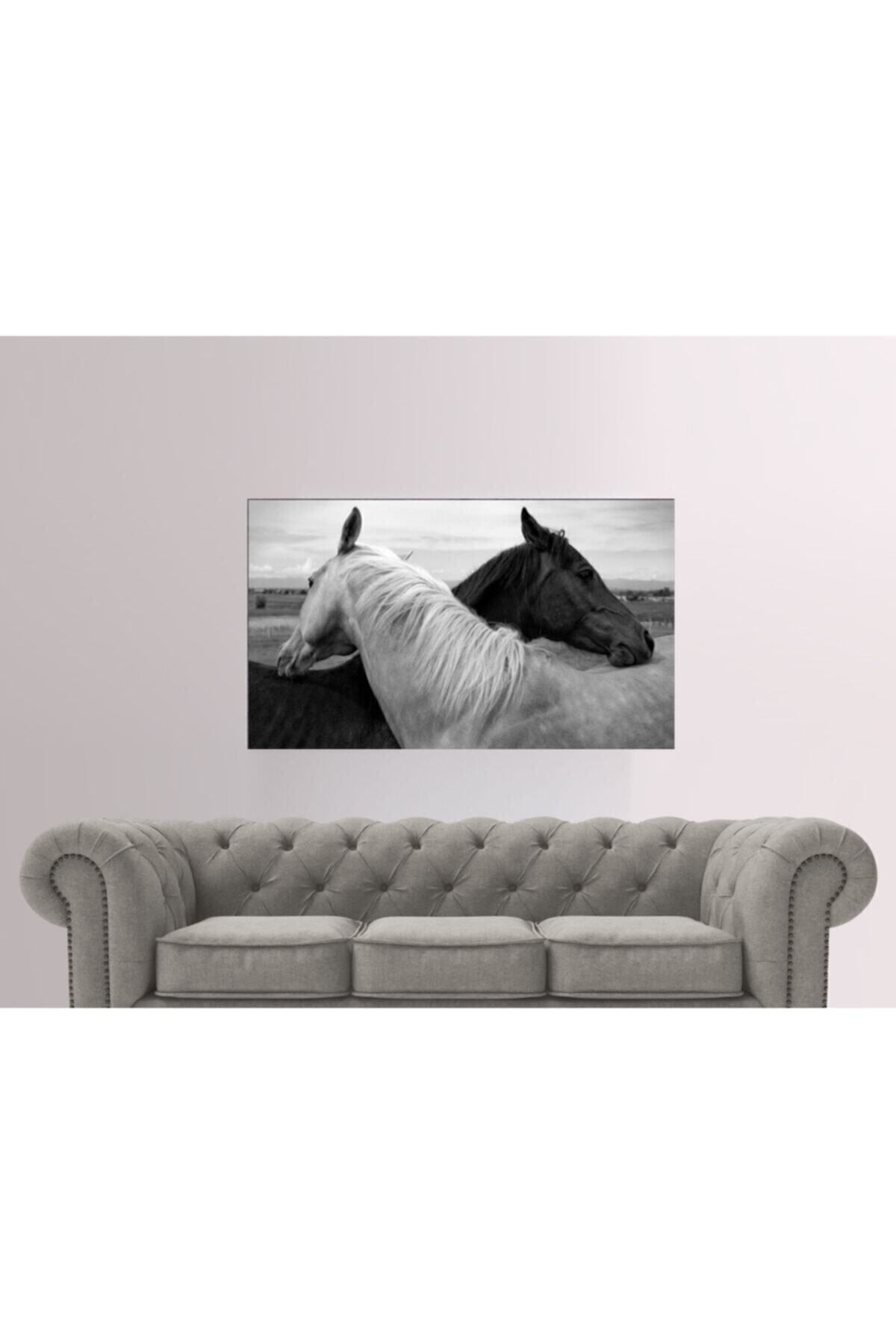 Vividale 70x100 Cm Siyah Beyaz At Temalı - Her Mekana Uygun Dekoratif Kanvas Tablo