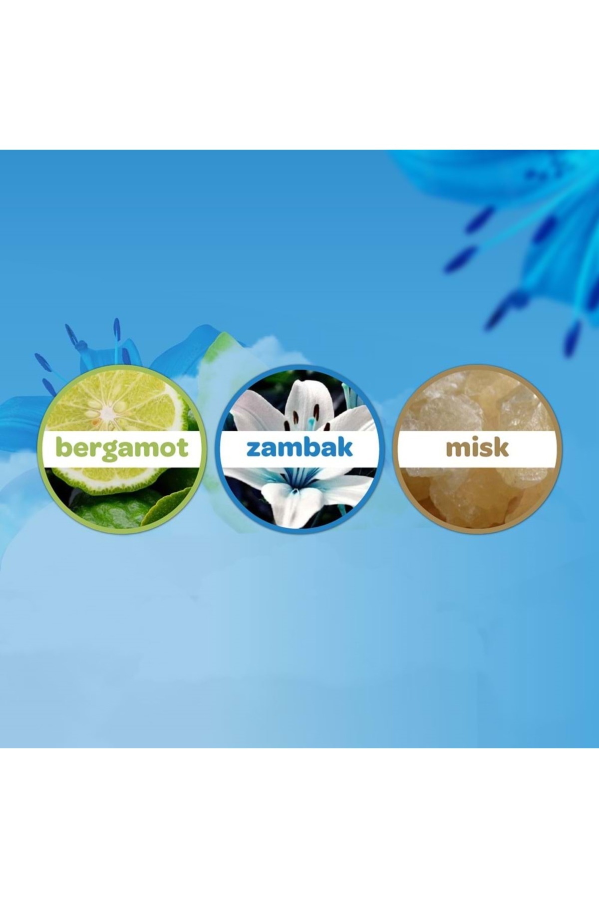 Dalin x 4 Adet Deniz Esintisi Kolonya 150 ml fotoğrafı 3 (önizleme)