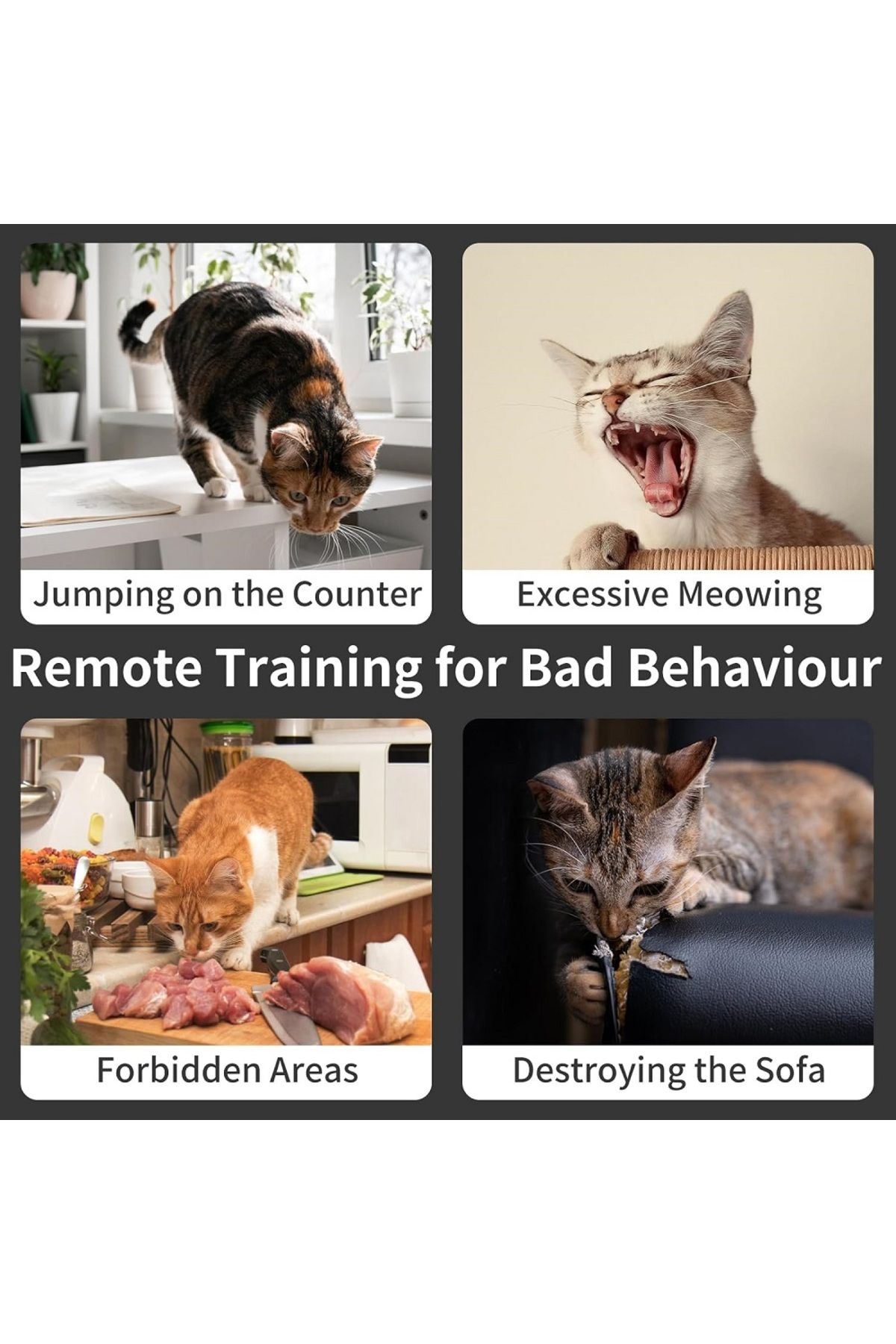 PaiPaitek-Cat Shock Collar,Cat Training Collar with Remote,Cat Stop Meowing Collar, Remote Contro... 6