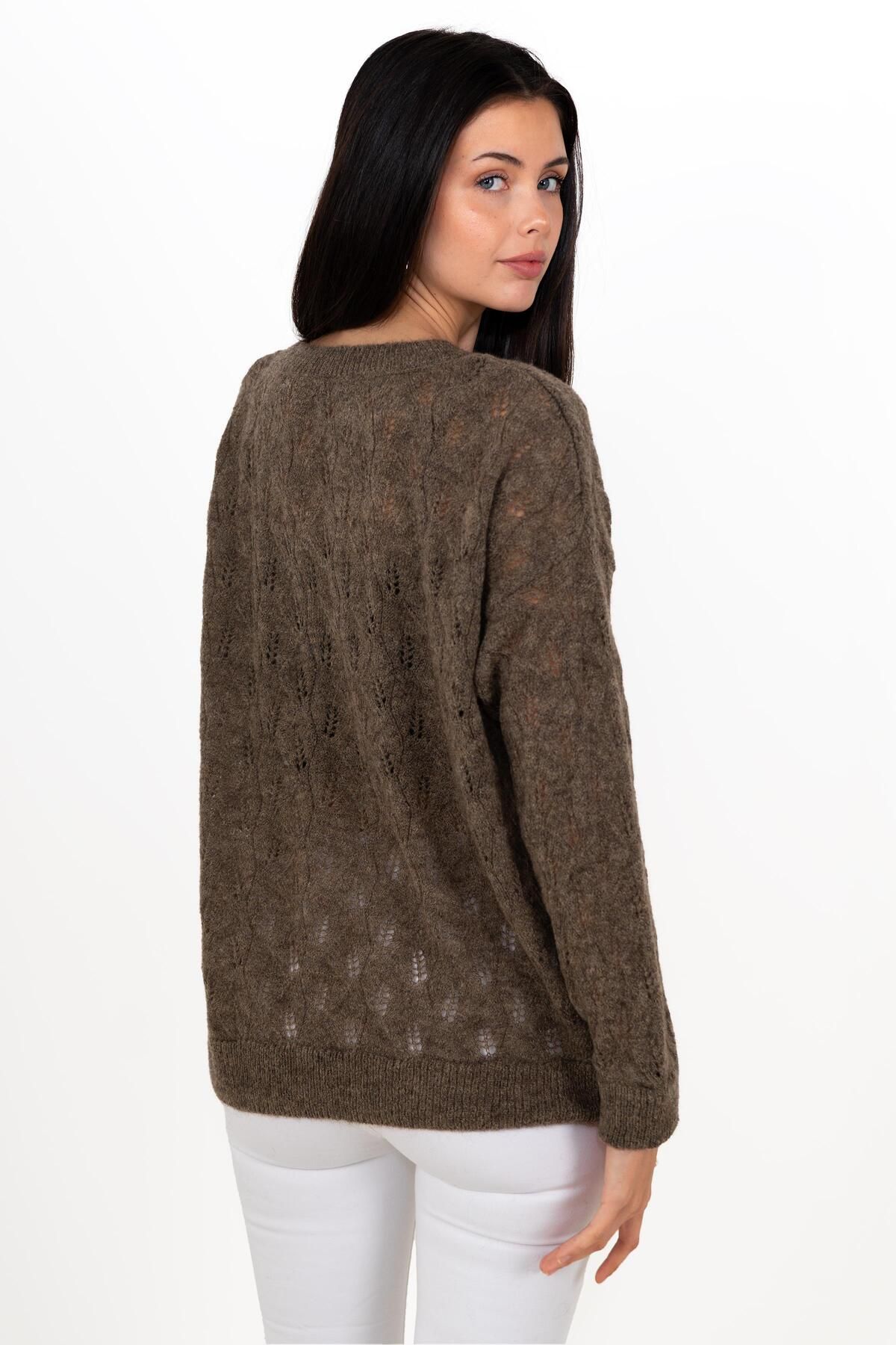 CHUBA-Women's Wide Fit Wool And Moher Blended Soft Textured Openwork Sweater Brown 24w142 5