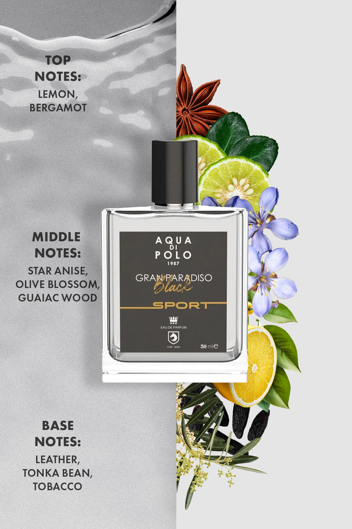 Aqua Di Polo 1987 Gran Paradiso Black Sport 50 Ml عطر مردانه Edp Apcn000514