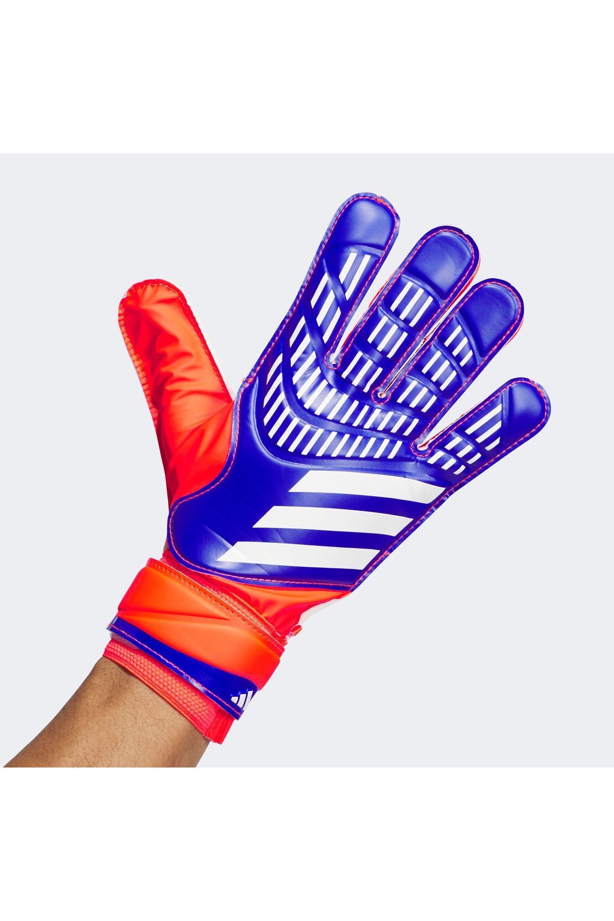 adidas-Predator Men's Blue Goalie Gloves 2