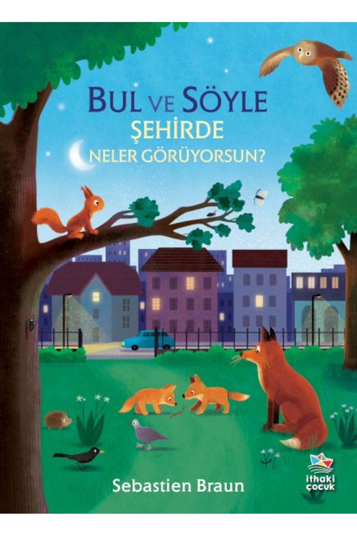 Destek Yayınları Bul ve Söyle - Şehirde Neler Görüyorsun?