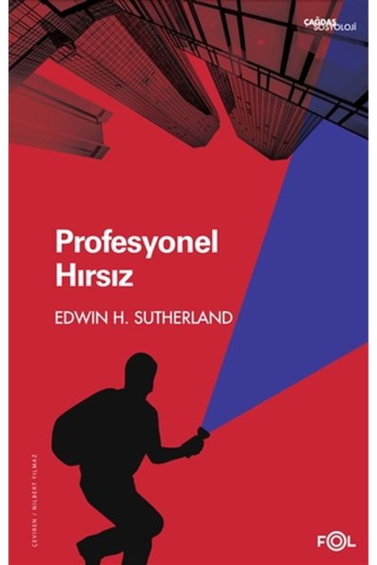 Destek Yayınları Profesyonel Hırsız