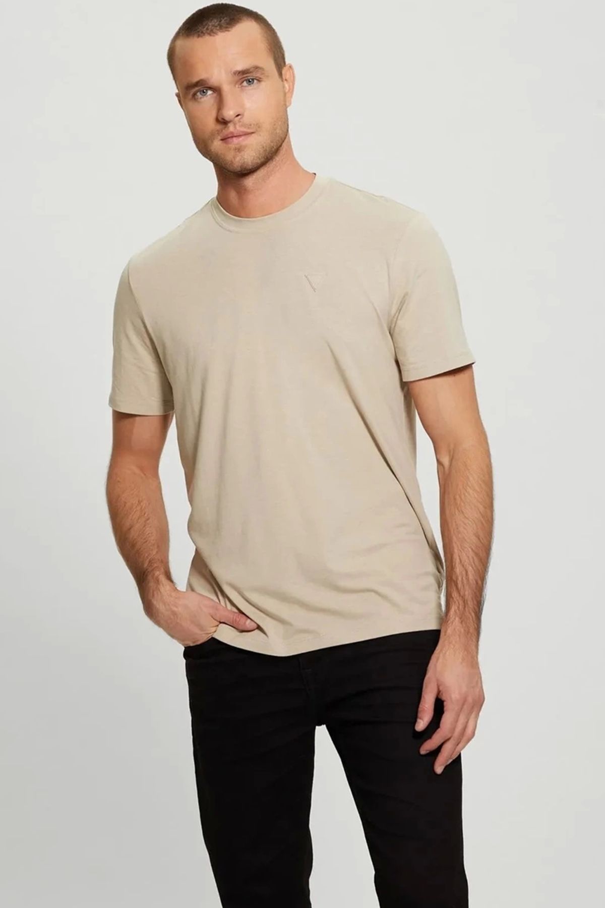 تیشرت مردانه Hedley Ss Guess