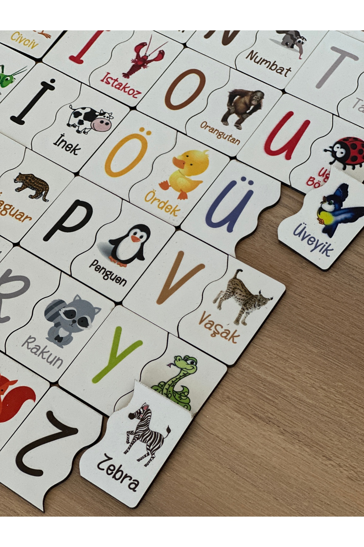 Bellacasa Puzzle Harf hayvan Eşleme Kartı, Eğitici Oyuncak, Montessori Eğitim Oyuncak, Motor Zeka Oyuncak fotoğrafı 5 (önizleme)