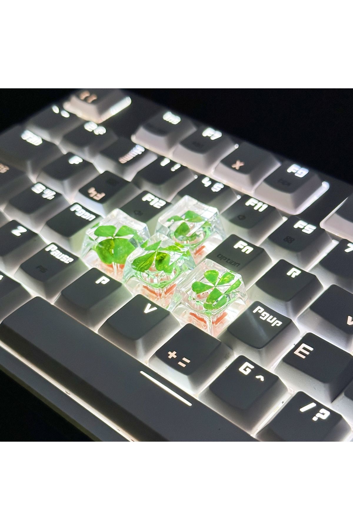 Choice-Genuine Four-leaf Clover Resin Cross-axis Mechanical Keyboard key caps 5