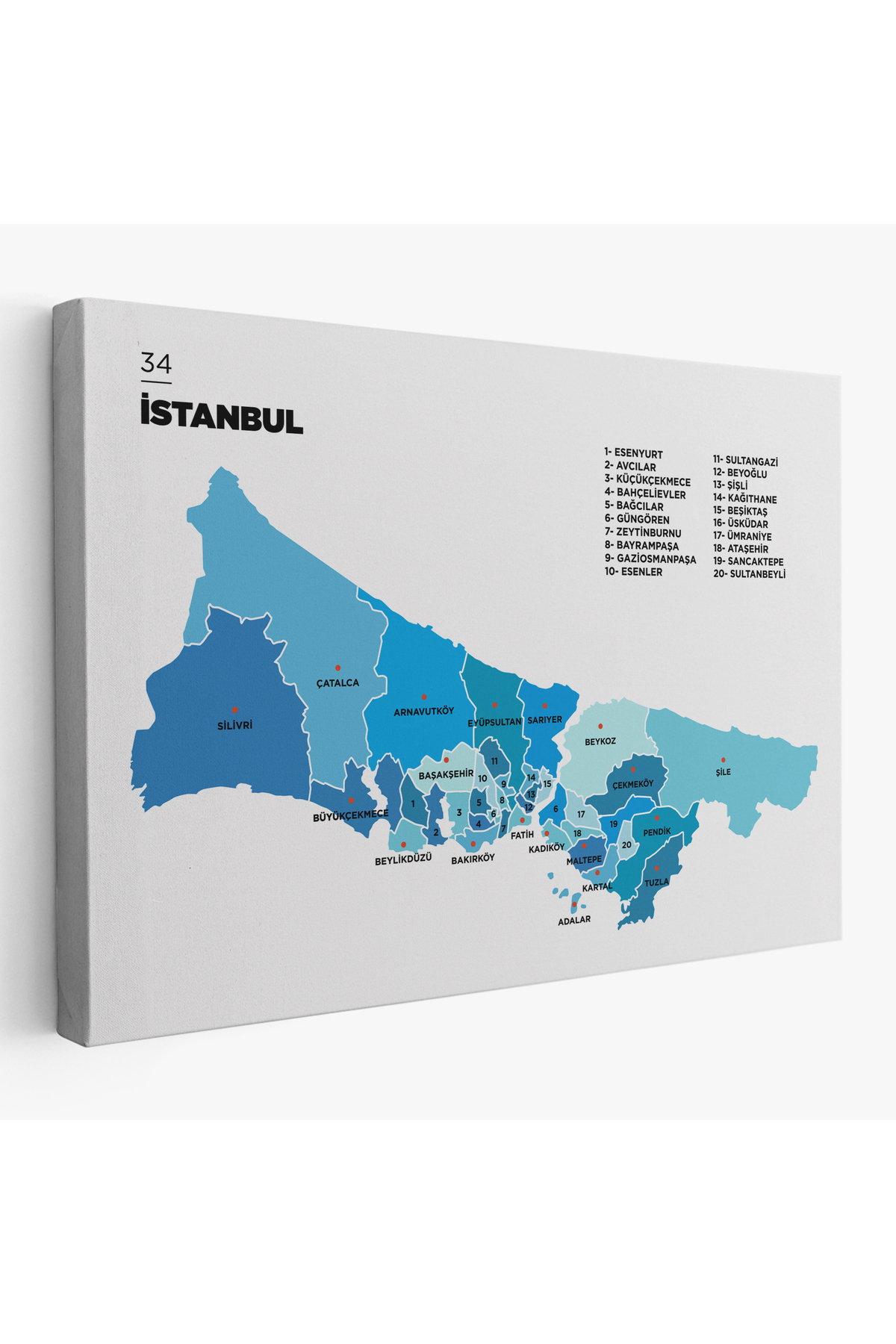 Istanbul Ili Ve Ilçeler Haritası Dekoratif Kanvas Tablo