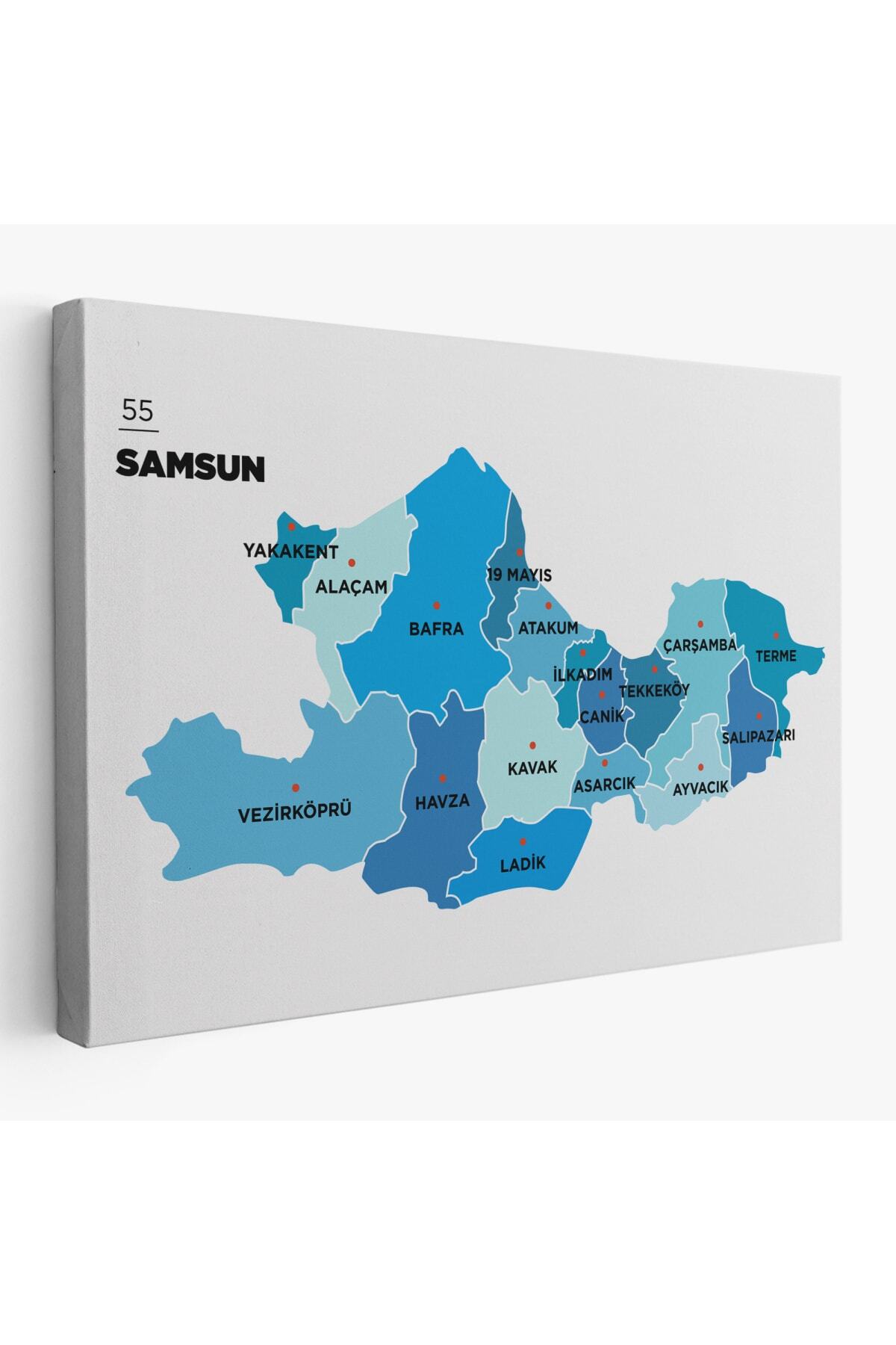 Samsun Ili Ve Ilçeler Haritası Dekoratif Kanvas Tablo