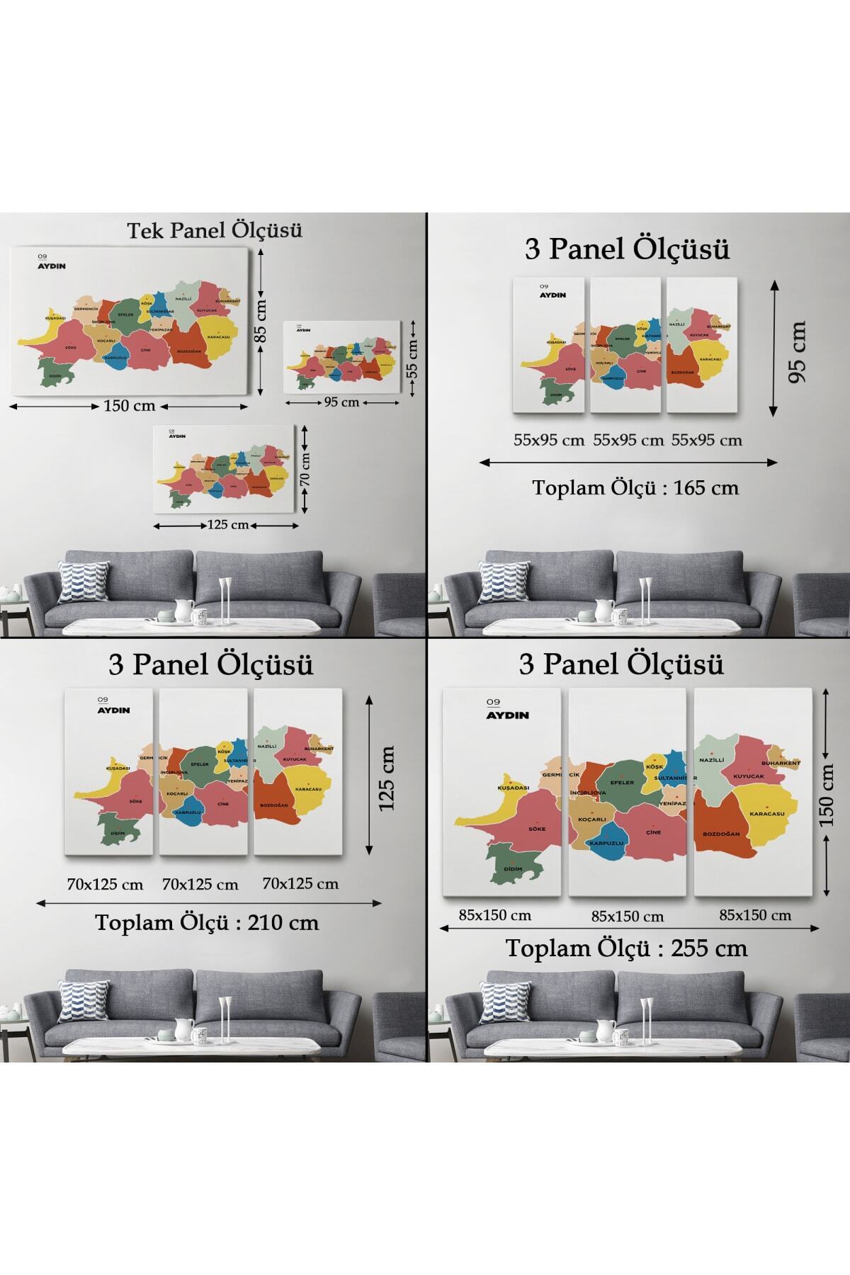 Aydın Ili Ve Ilçeler Haritası Dekoratif Kanvas Tablo görsel 5