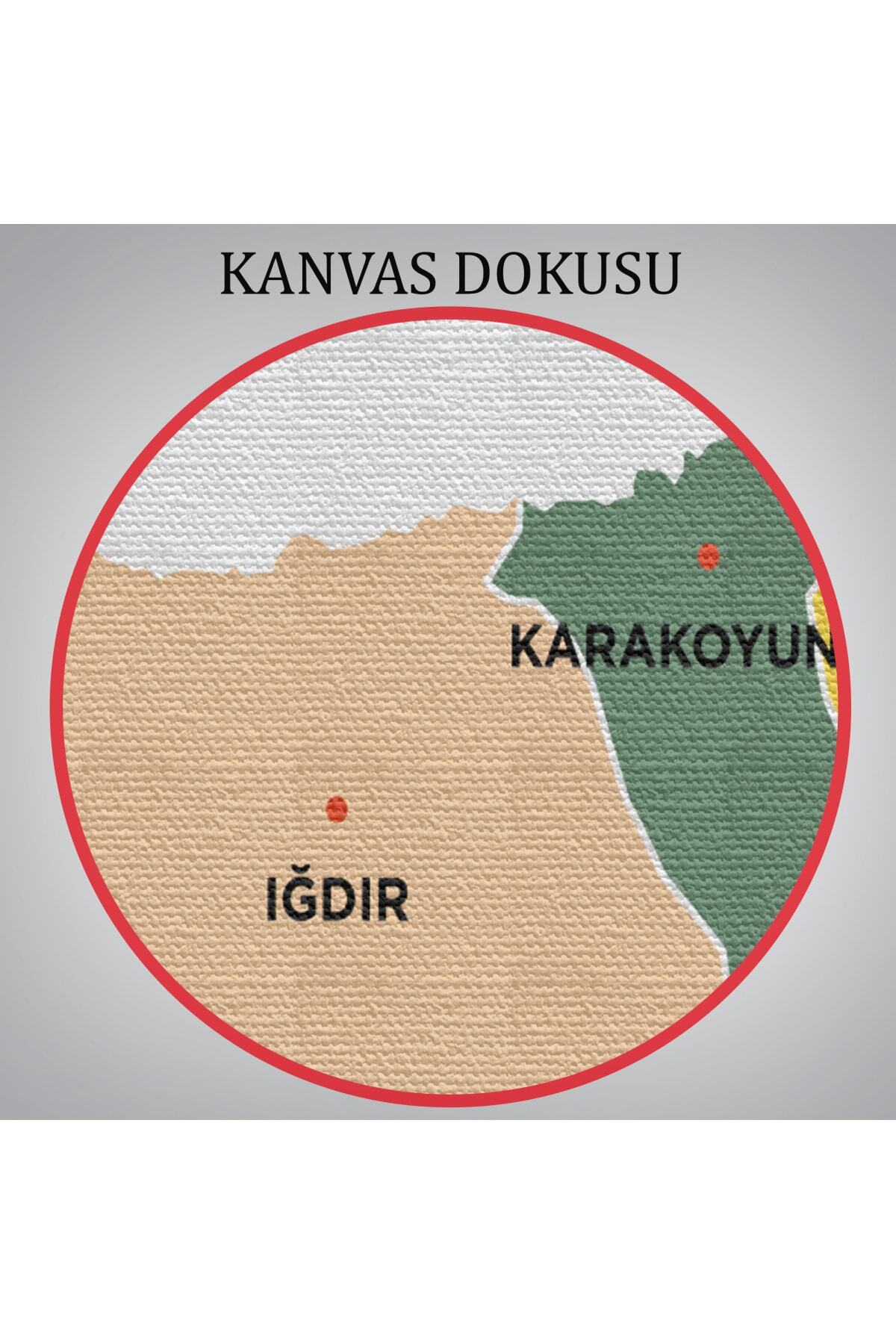Iğdır Ili Ve Ilçeler Haritası Dekoratif Kanvas Tablo görsel 6