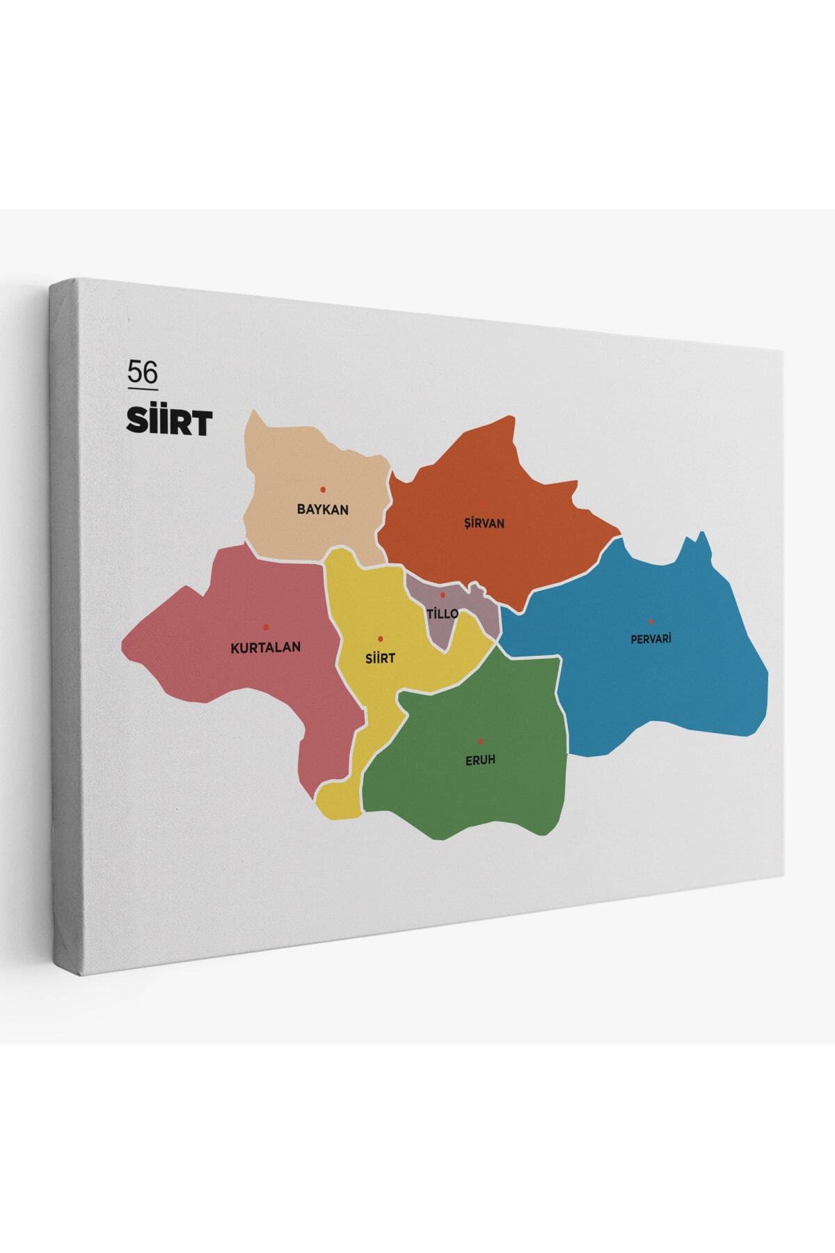 Siirt Ili Ve Ilçeler Haritası Dekoratif Kanvas Tablo-1