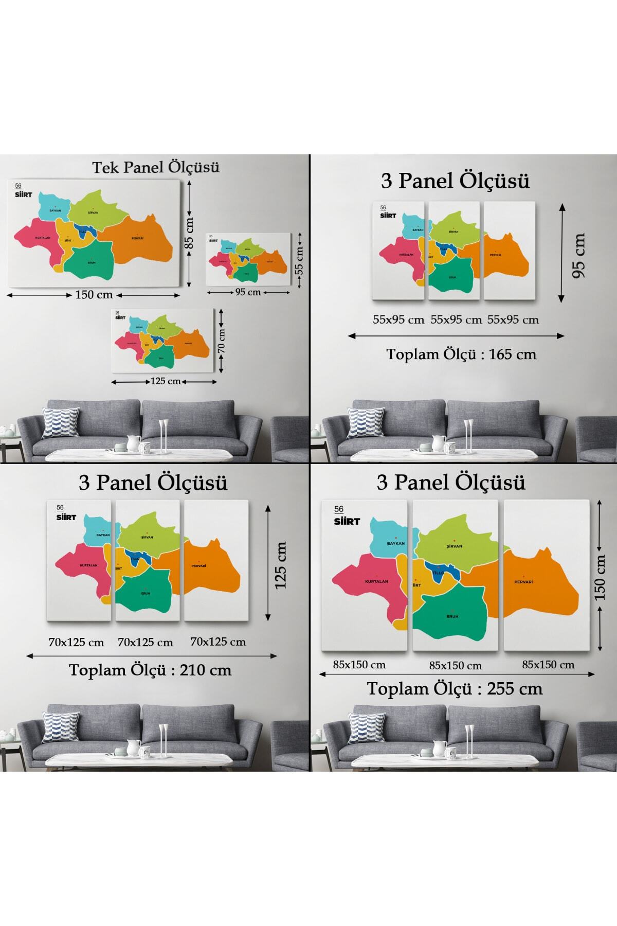 Siirt Ili Ve Ilçeler Haritası Dekoratif Kanvas Tablo görsel 5