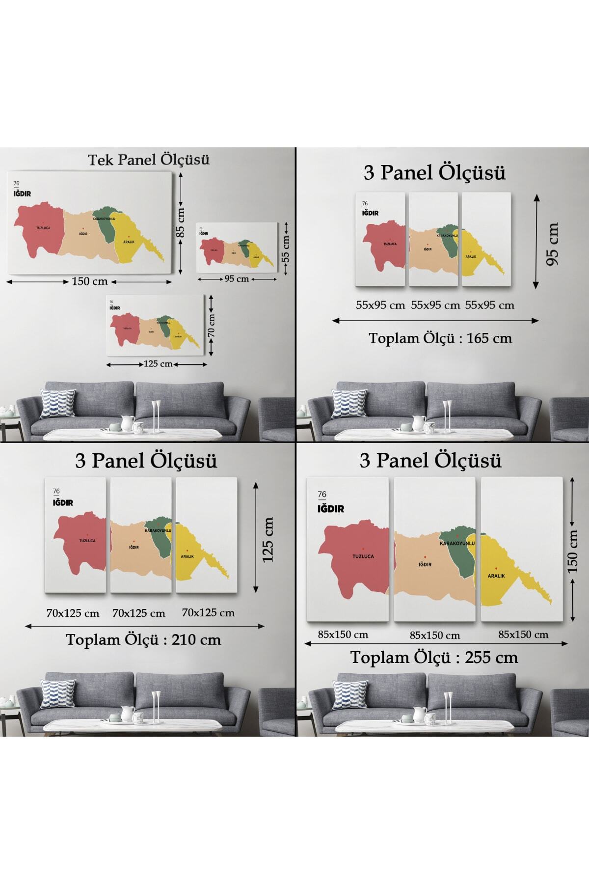 Iğdır Ili Ve Ilçeler Haritası Dekoratif Kanvas Tablo görsel 5