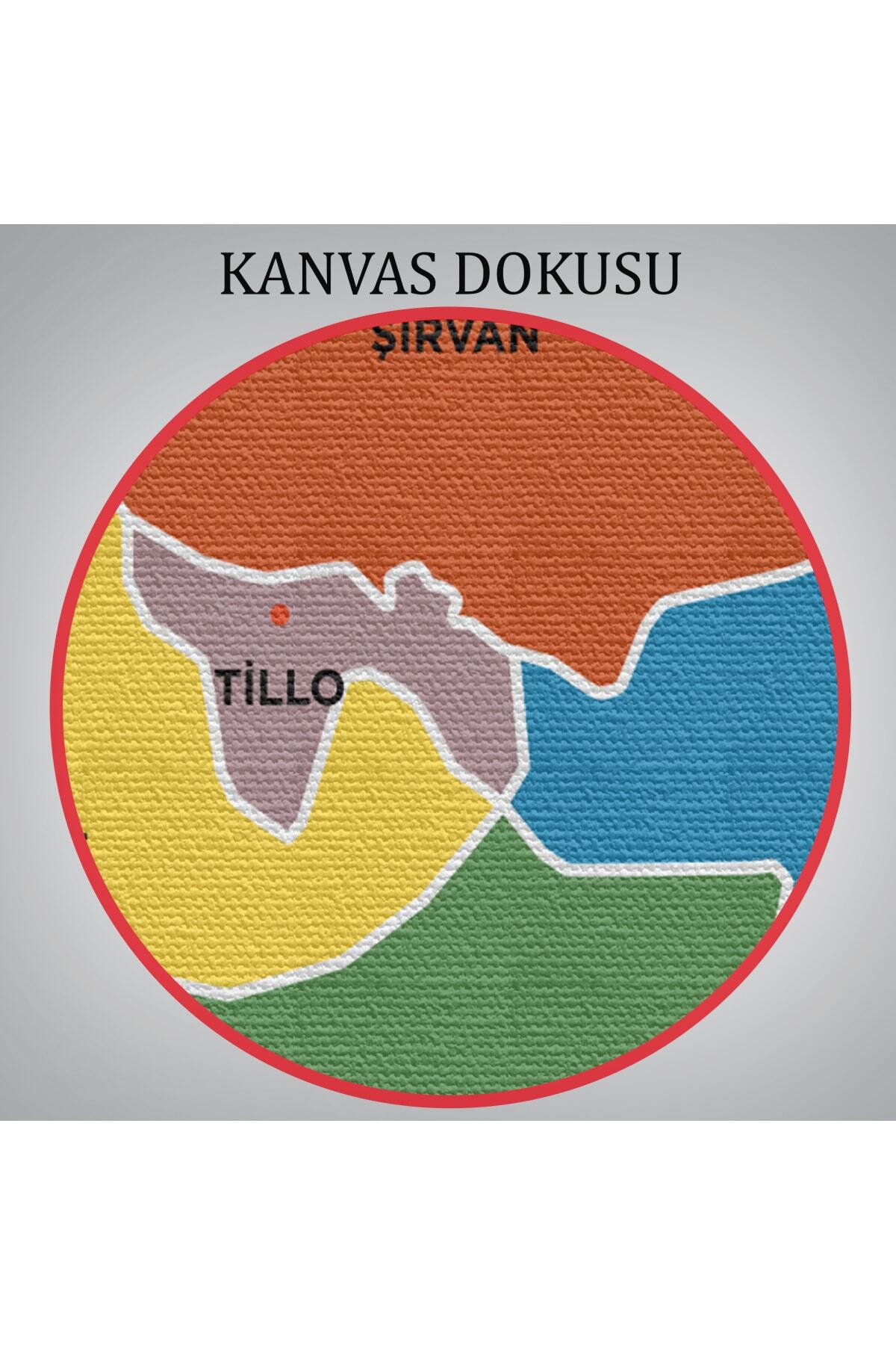 Siirt Ili Ve Ilçeler Haritası Dekoratif Kanvas Tablo-1 görsel 6