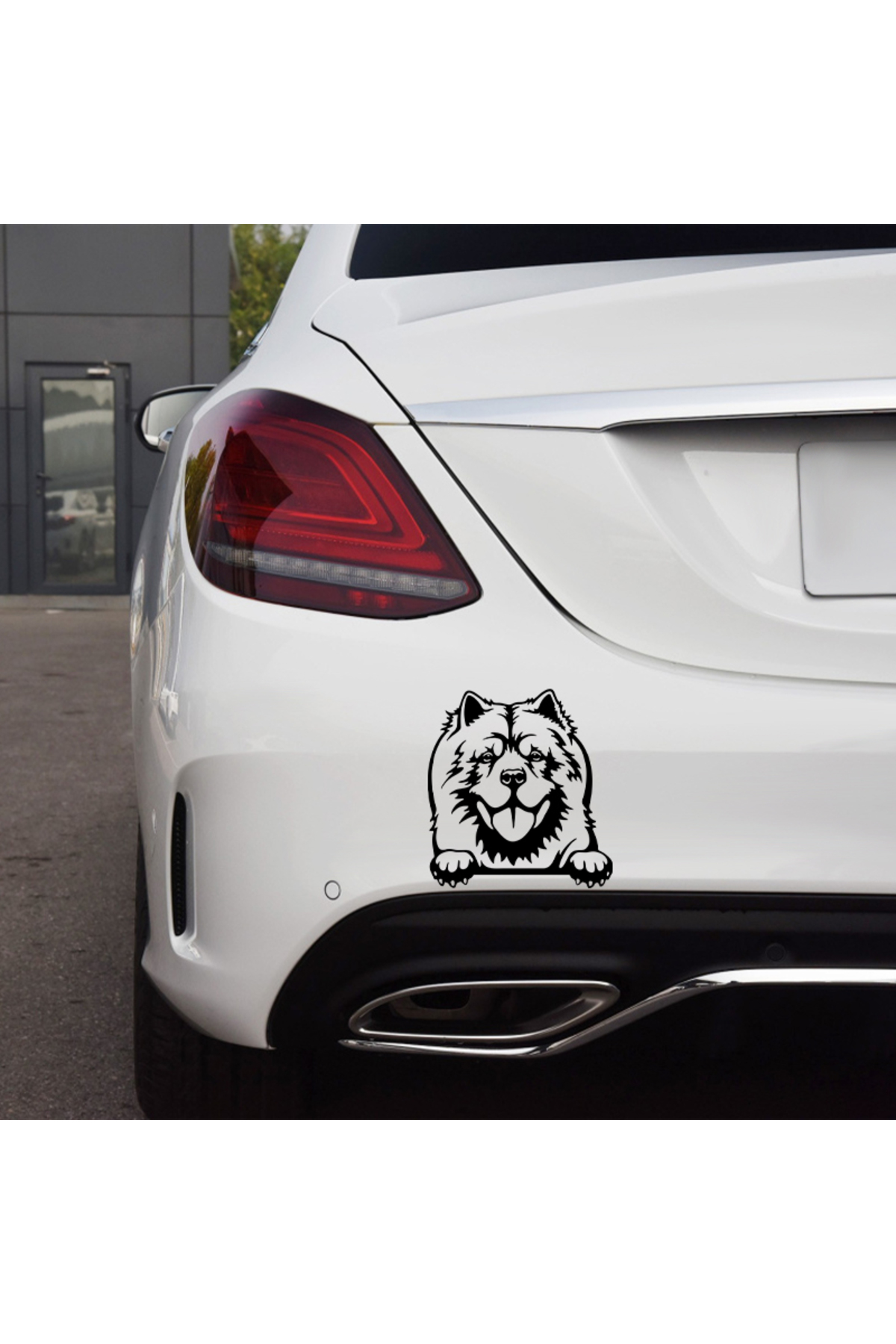 Choice Cars Accessorie Decals Funny Dog With Name Car Decal Dogs Pet