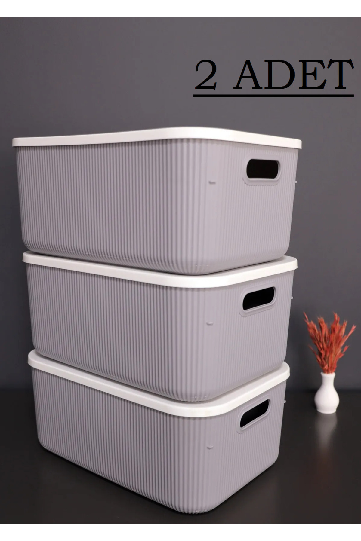 Bayev-2 Pieces Storage 13 Lt Gray Multi-Purpose Closet Organizer Box with Lid Boots Box 2