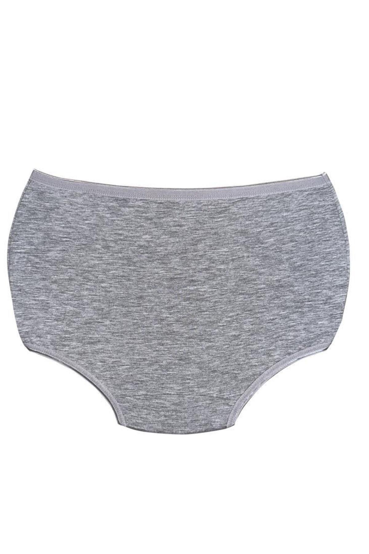 Almila-Set of 5 High Waist Cotton Women's Boxer Briefs 2058 - Slip Look Boxer 4