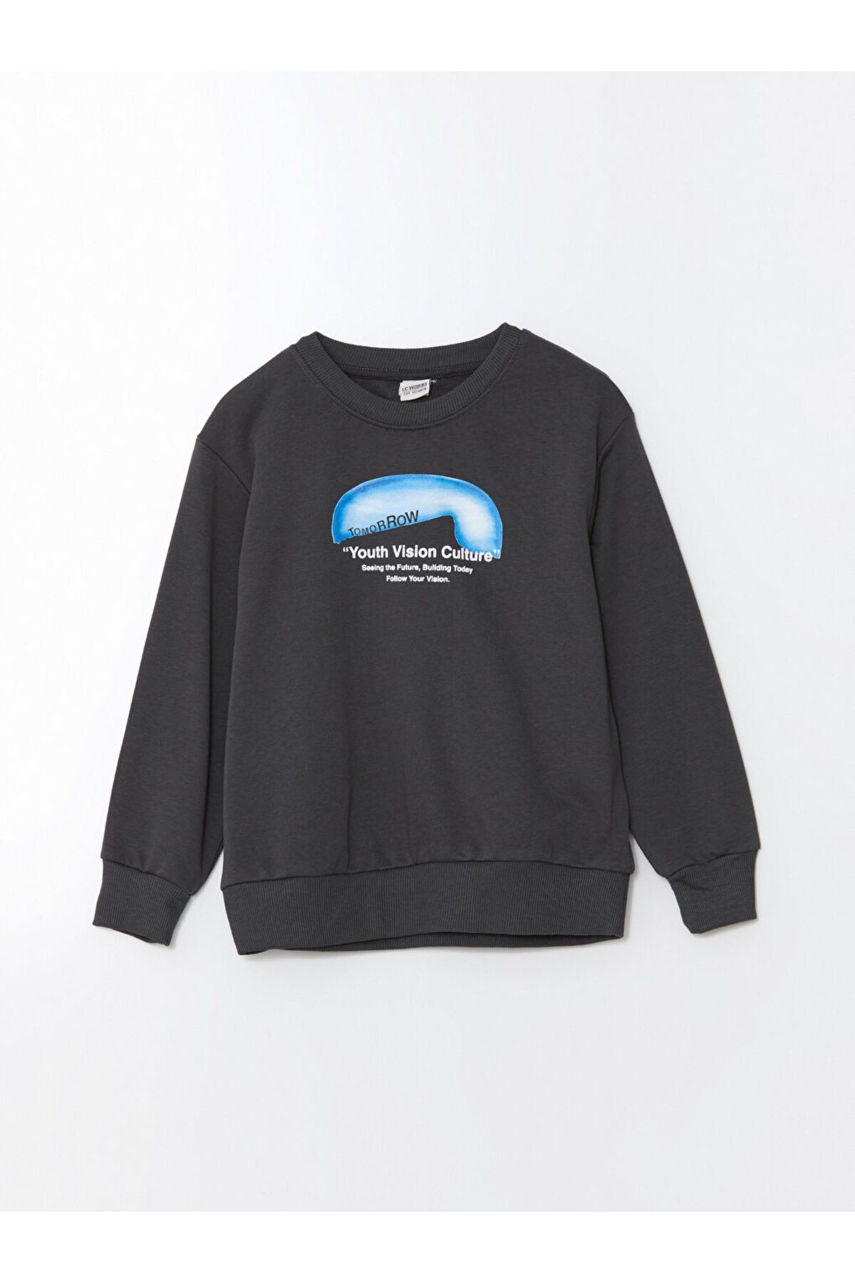 LC Waikiki-Boy's Crew Neck Sweatshirt - W48363Z4 1