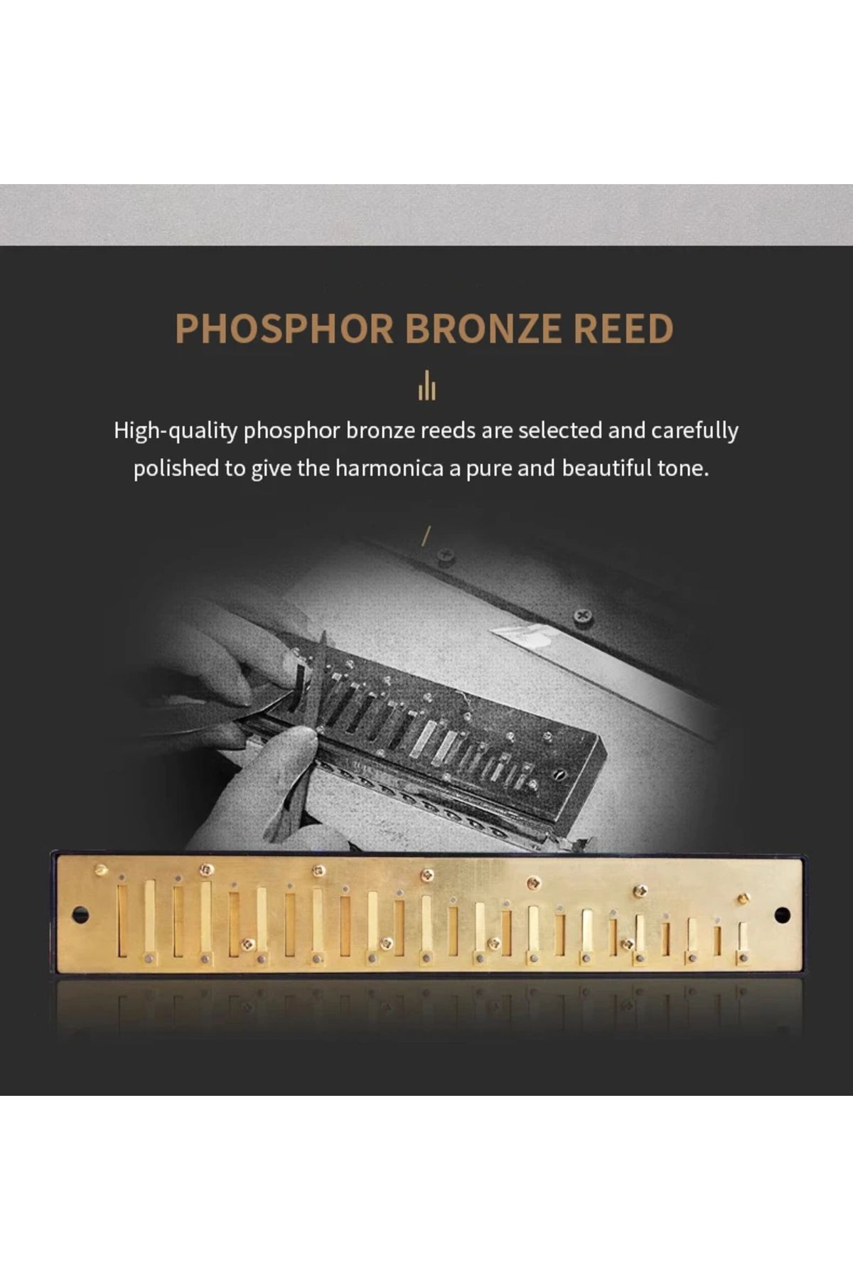 Choice-Swan Harmonica 24 Hole Professional Polyphonic Harmonica C Key Tremolo Octave-tuned Polyphonic Di... 3