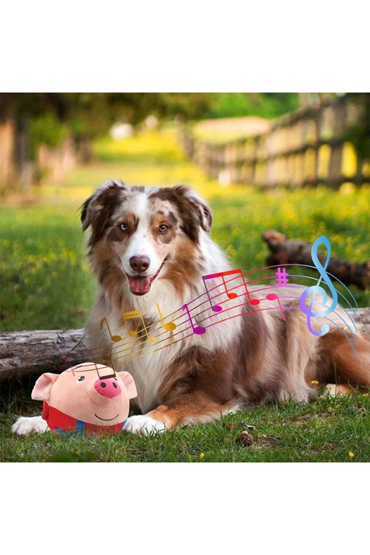 Choice-Jumping Pig Toy Seaweed Pig Jumping Ball Active Moving Pet Plush Toy Bouncing Learn To Talk Sing ... 4