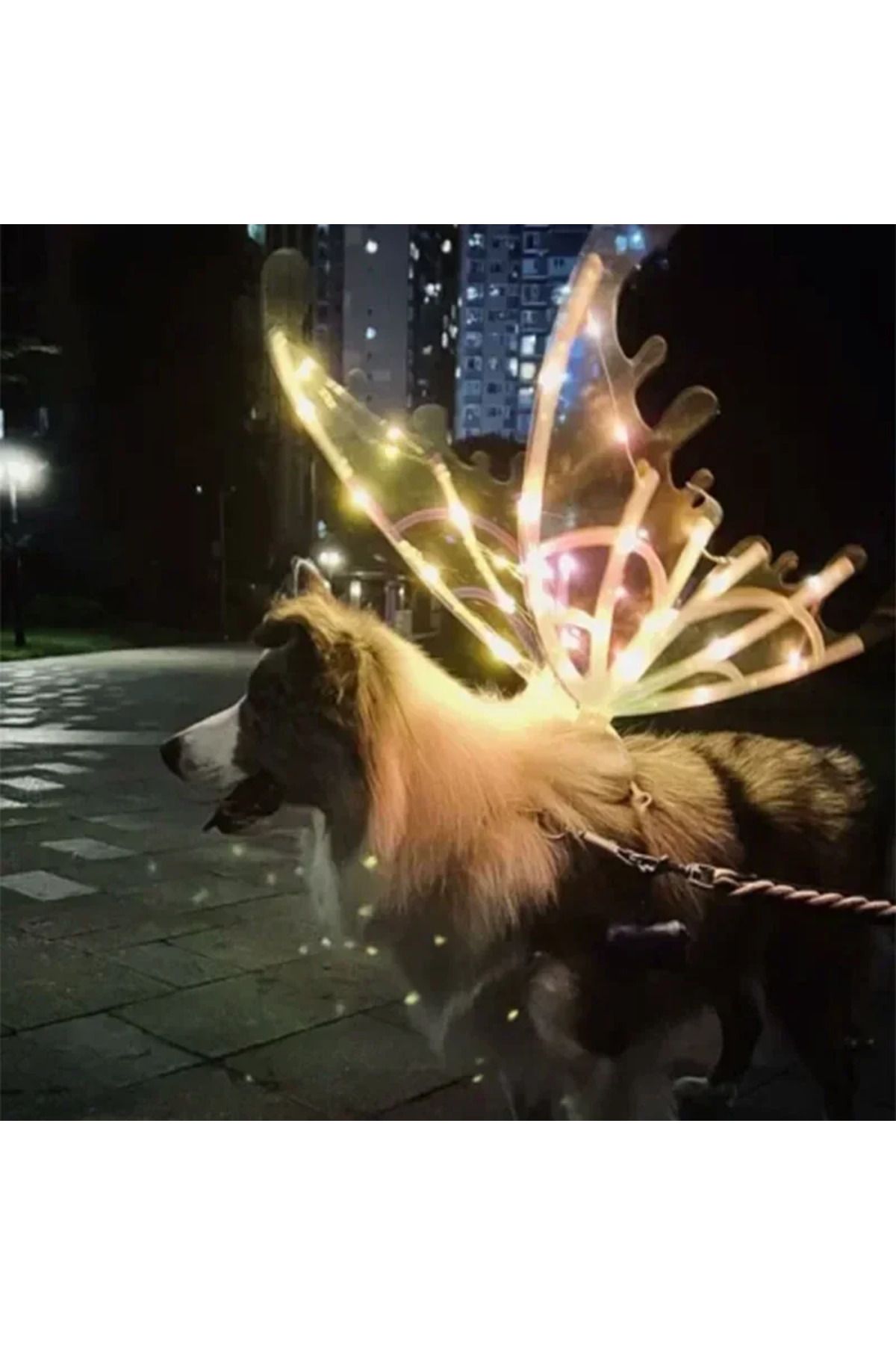 Choice-Dog Butterfly Wings Pet Glowing Wings Puppy Summer Clothes Decorative Samoyed Husky Medium Dogs 5
