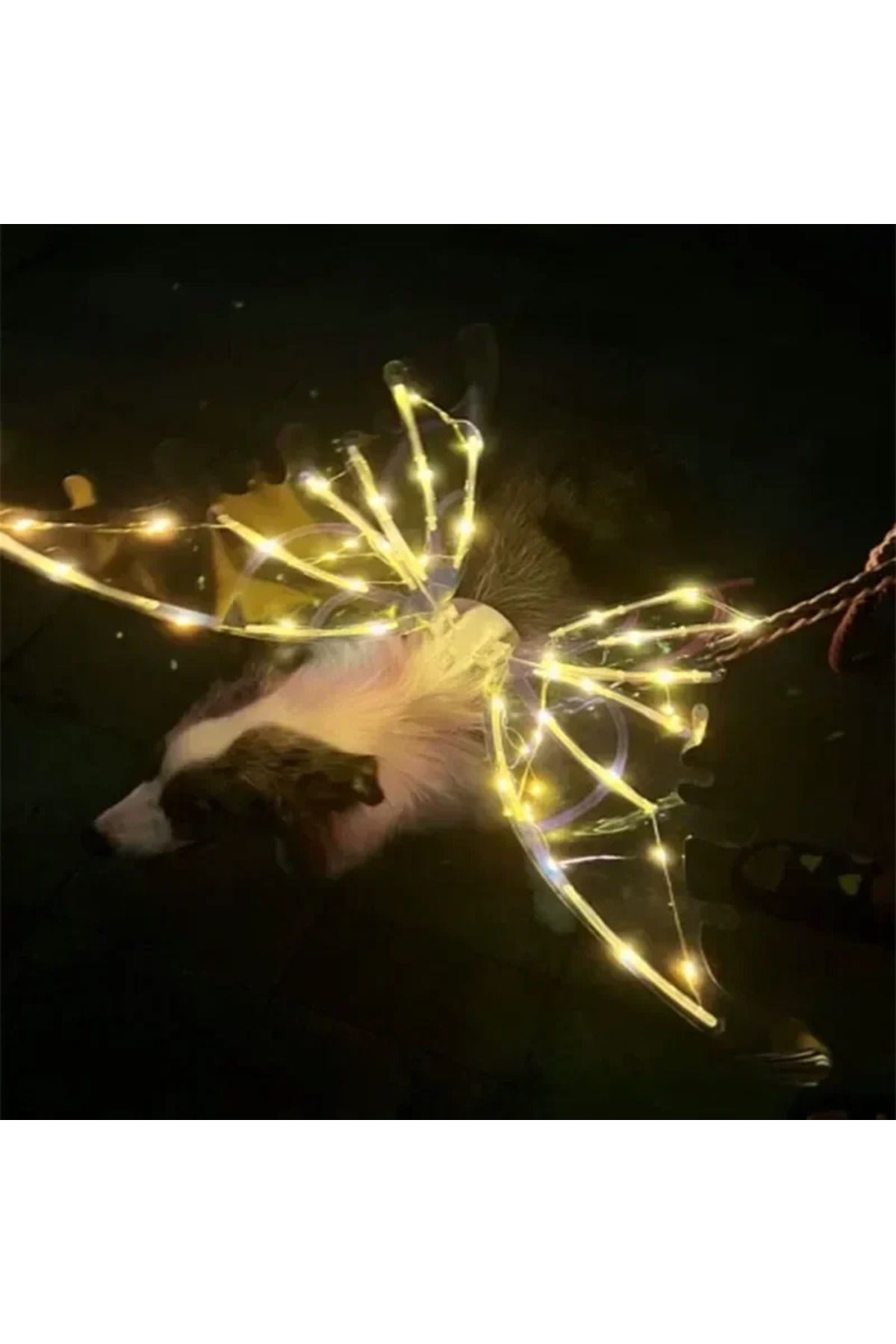 Choice-Dog Butterfly Wings Pet Glowing Wings Puppy Summer Clothes Decorative Samoyed Husky Medium Dogs 6