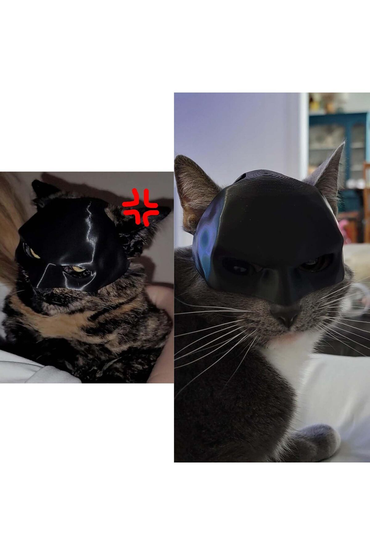 Choice-Cute Cat Bat Mask cosplay hat Funny Cat Batman Mask,Halloween Costume Accessories Funny Cat Bat M... 6