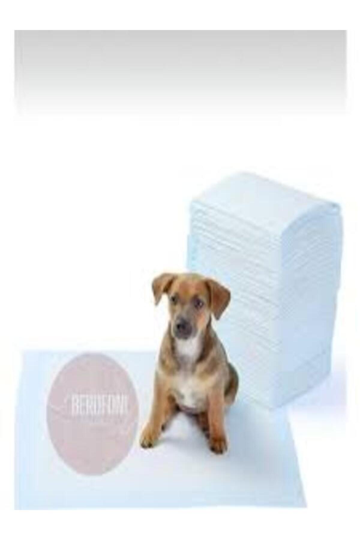mywarehouse 30 Adet Kedi Köpek Çiş Pedi Alıştırma Peti Kedi Köpek Tuvalet Eğitim Pedi 60x90 Cm
