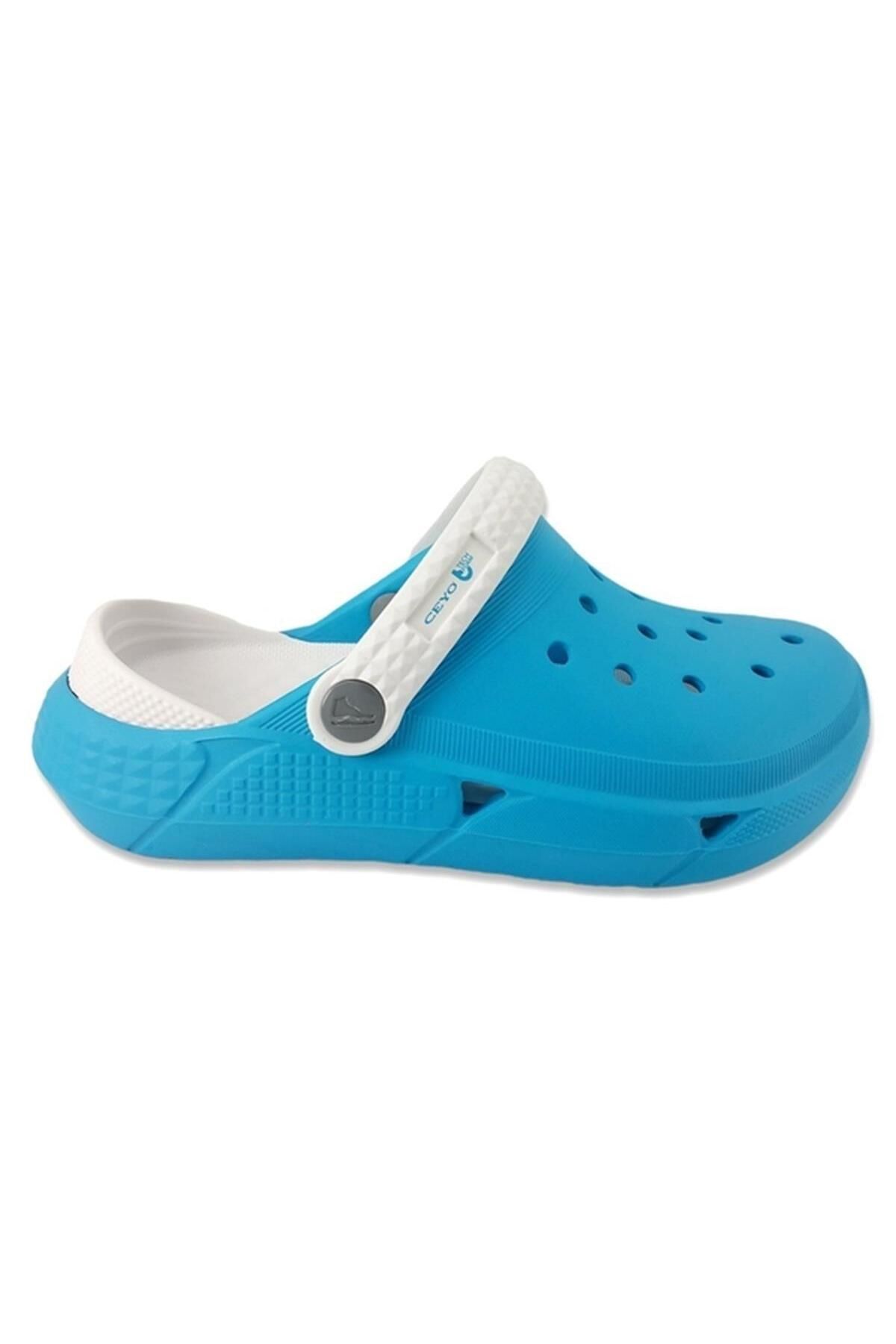 دمپایی آبی زنانه 012 Troy 22yt Anatomical Lady Dlippers Ceyo